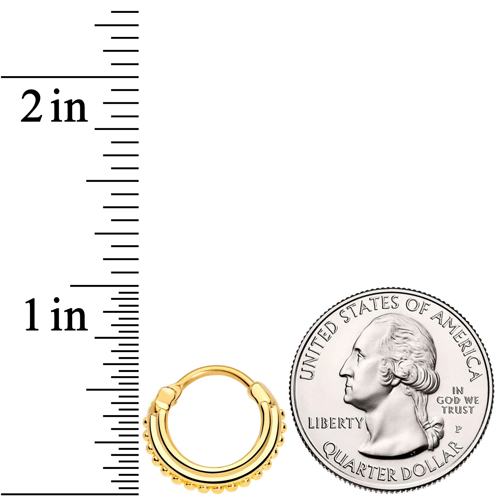 16G 3/8 Gold Tone Delicate Details Hinged Septum Ring - Image 4