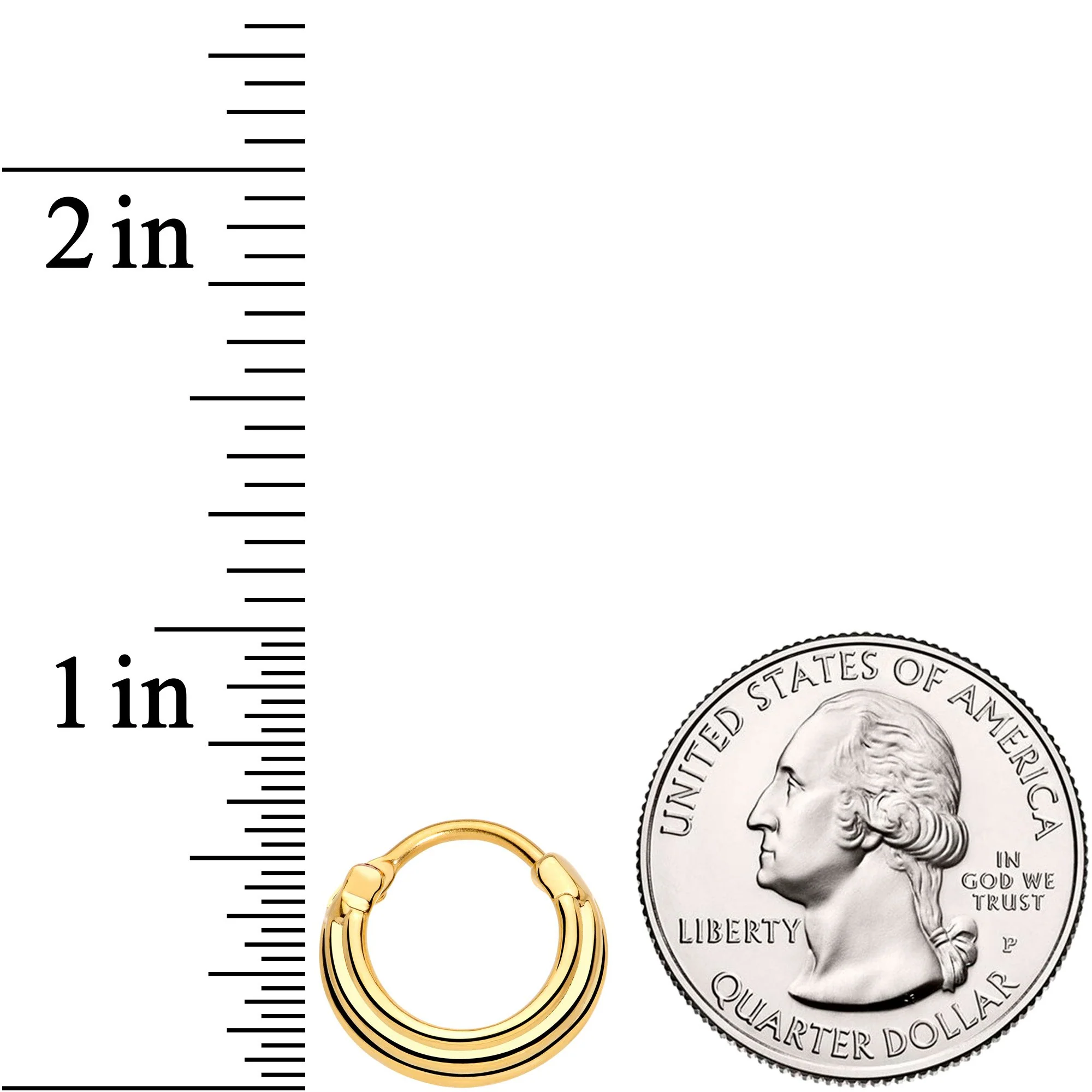 16G 3/8 Gold Tone Delicate Grooves Hinged Septum Ring - Image 4