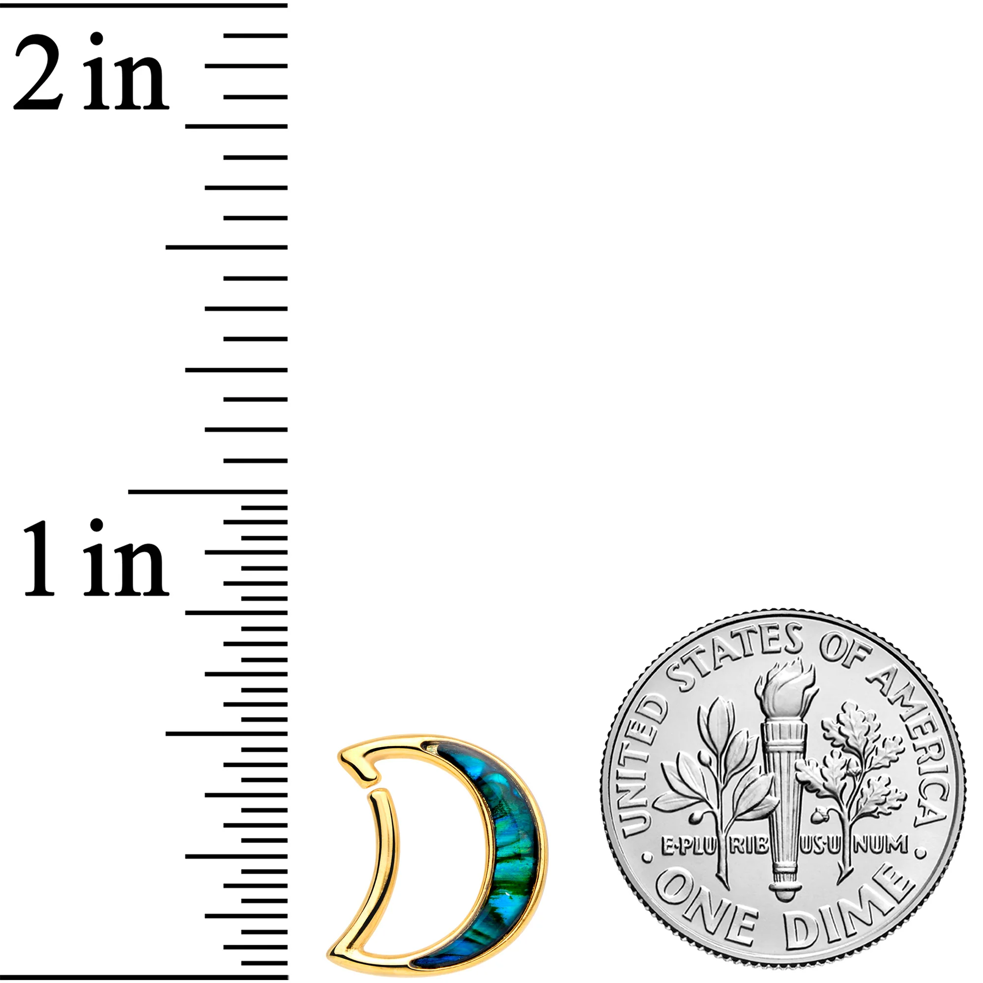 16G 3/8 Gold Tone Moon Sea Left Ear Closure Ring - Image 2