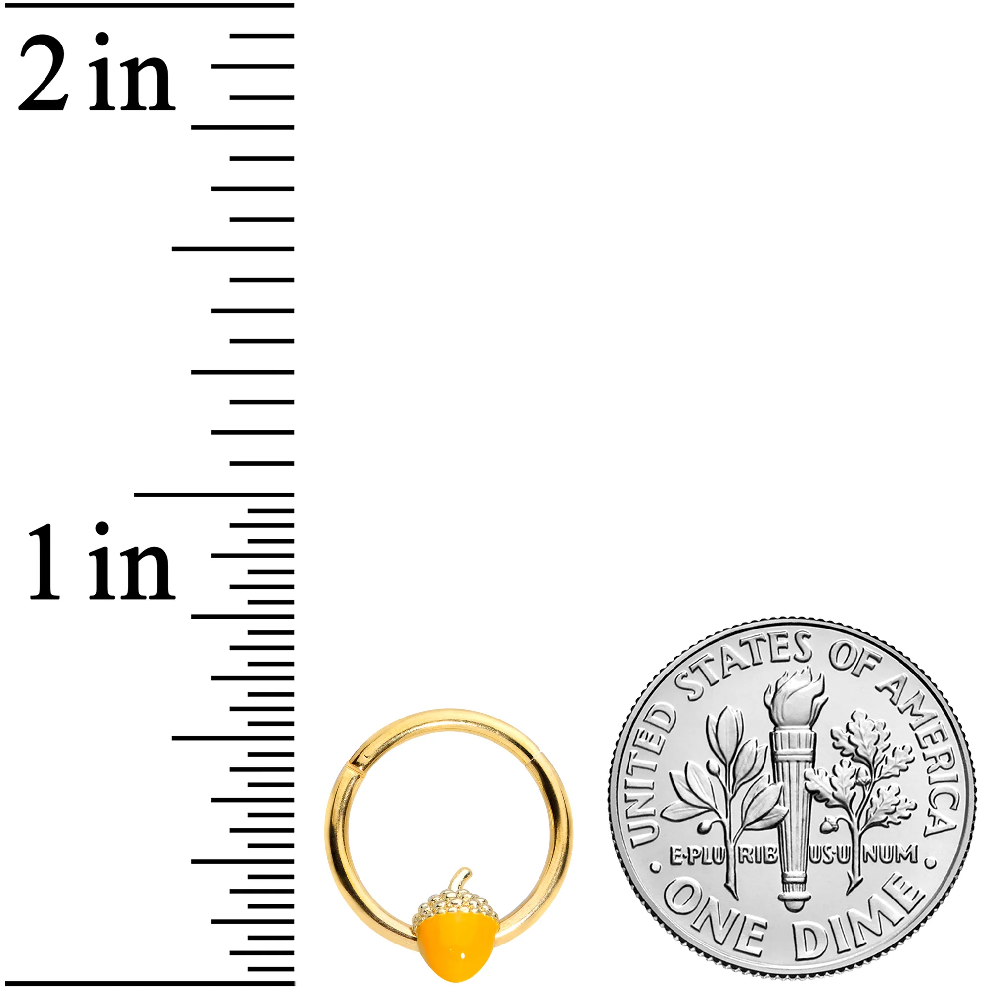 16G 3/8 Gold Tone Orange Acorn Hinged Segment Ring - Image 3