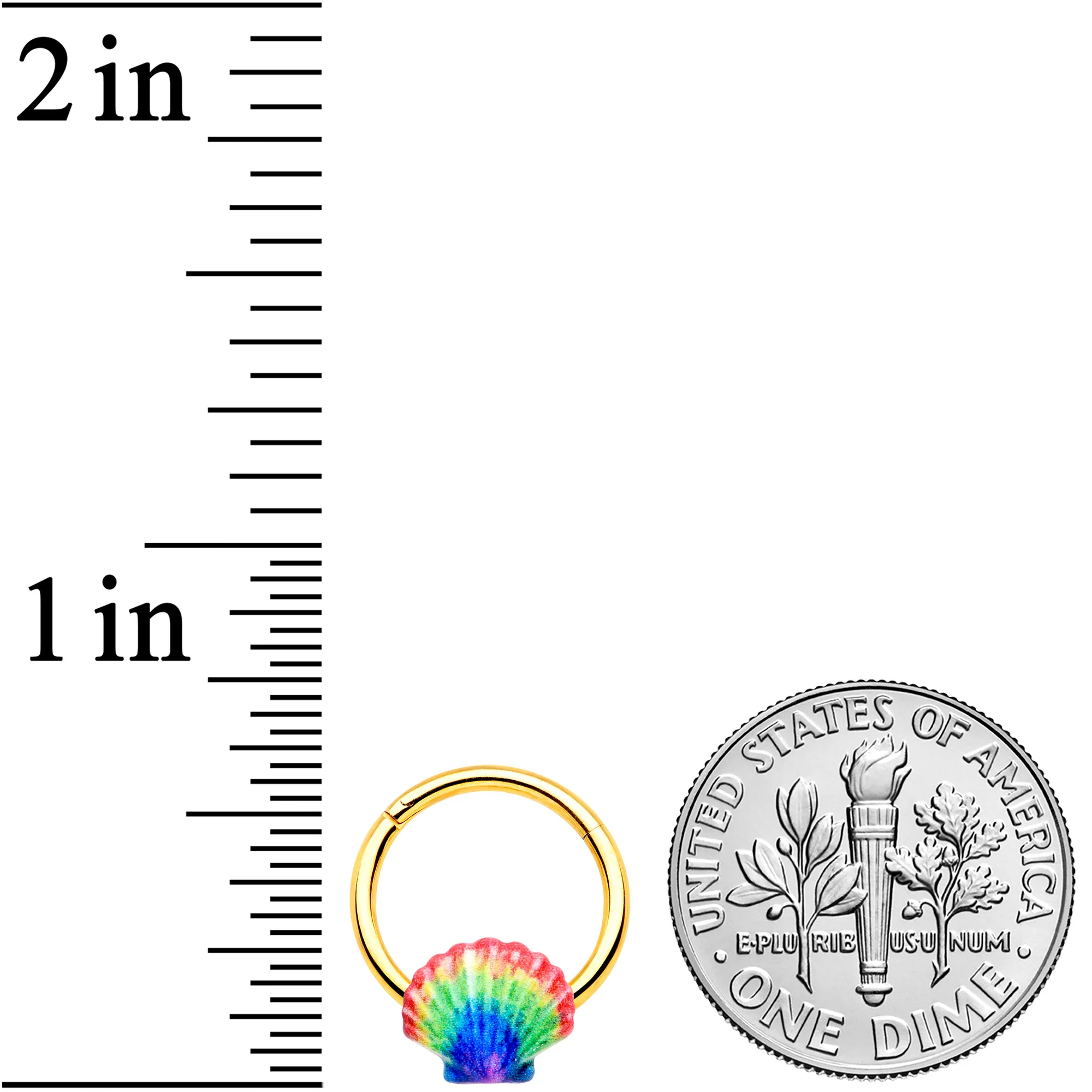 16G 3/8 Gold Tone Rainbow Scallop Shell Hinged Segment Ring - Image 3
