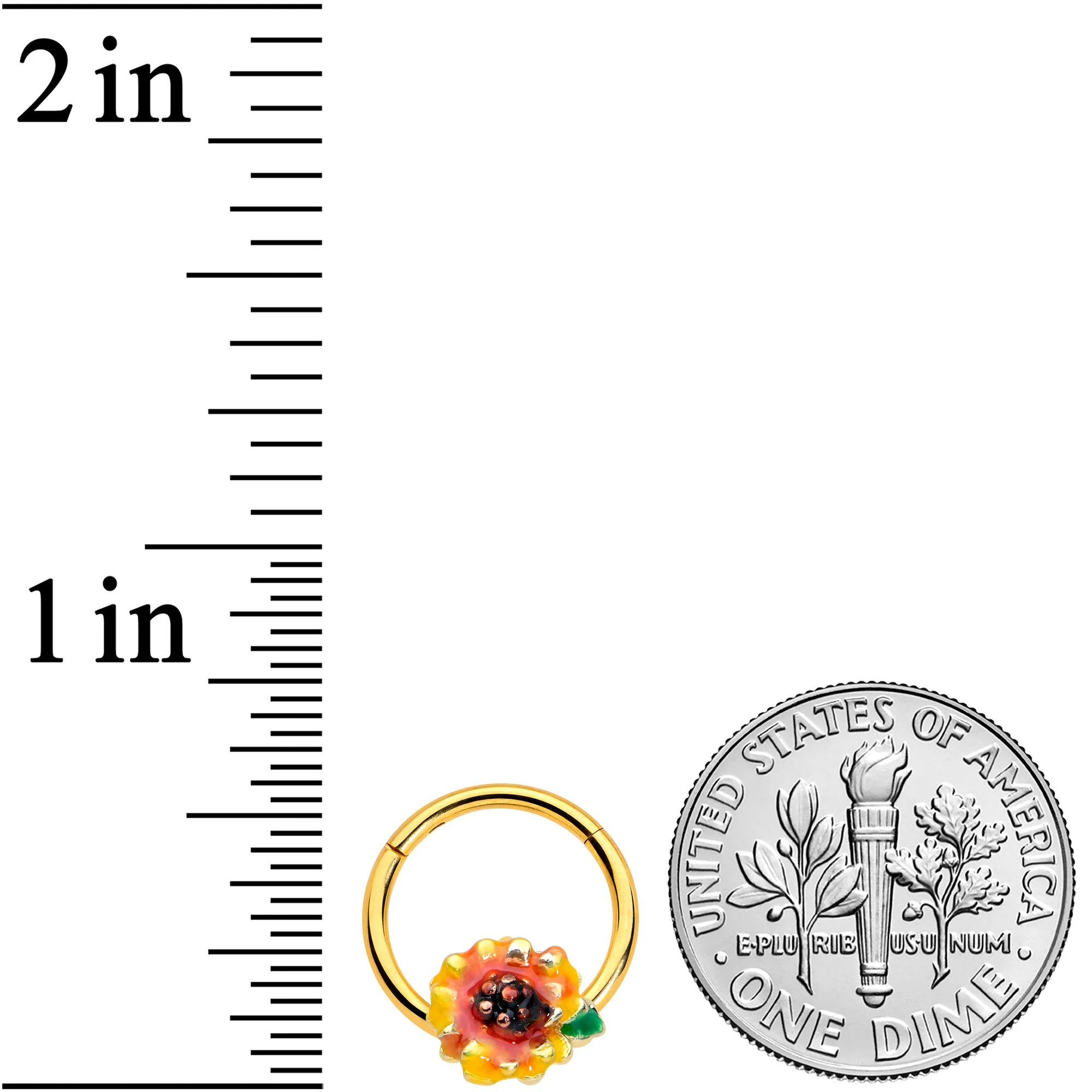 16G 3/8 Gold Tone Summer Sunflower Hinged Segment Ring - Image 3
