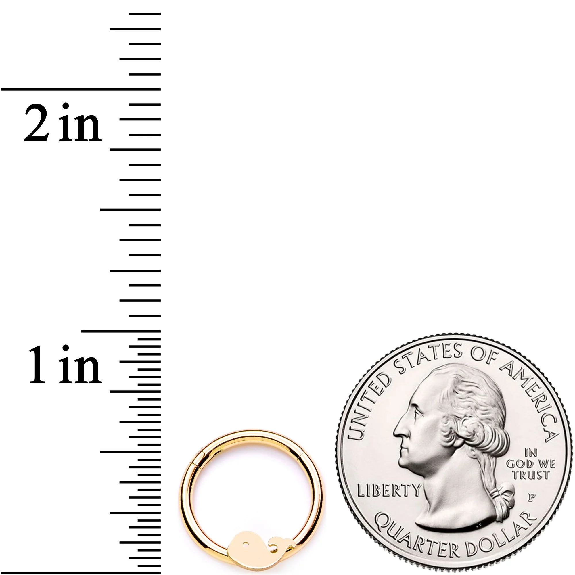 16G 3/8 Gold Tone Whale of a Hinged Segment Ring - Image 3