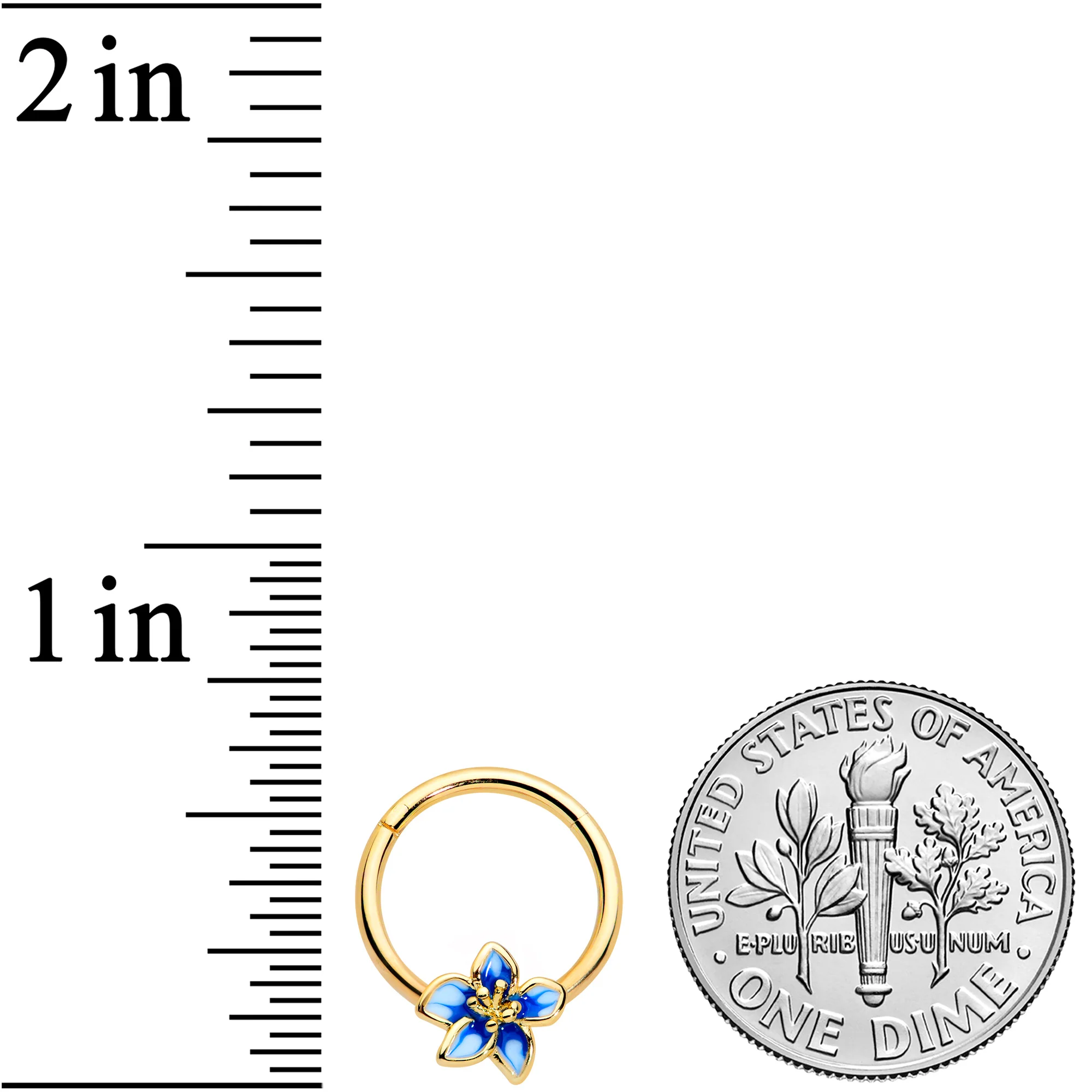 16G 3/8 Gold Tone White Blue Flower Hinged Segment Ring - Image 3