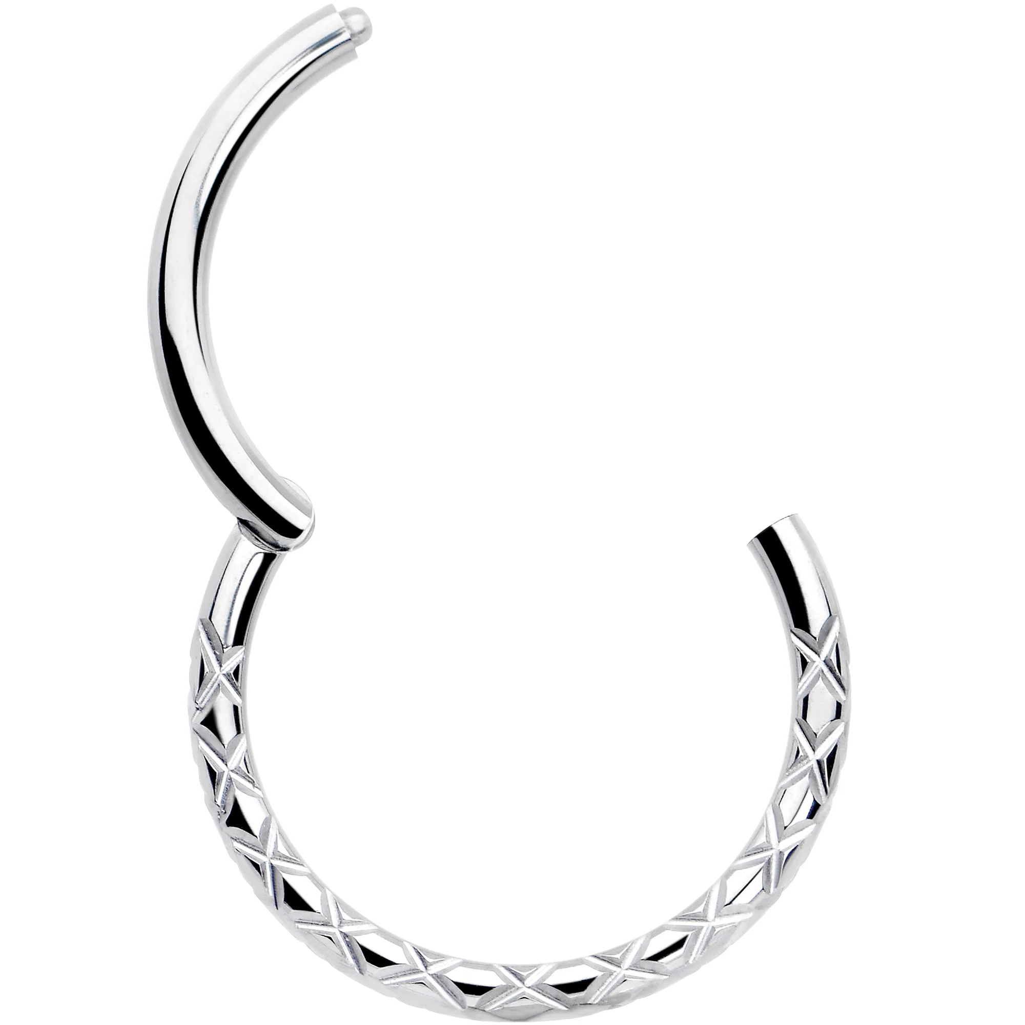 16G 3/8 Implant Grade Titanium Snakeskin Style Hinged Segment Ring - Image 2