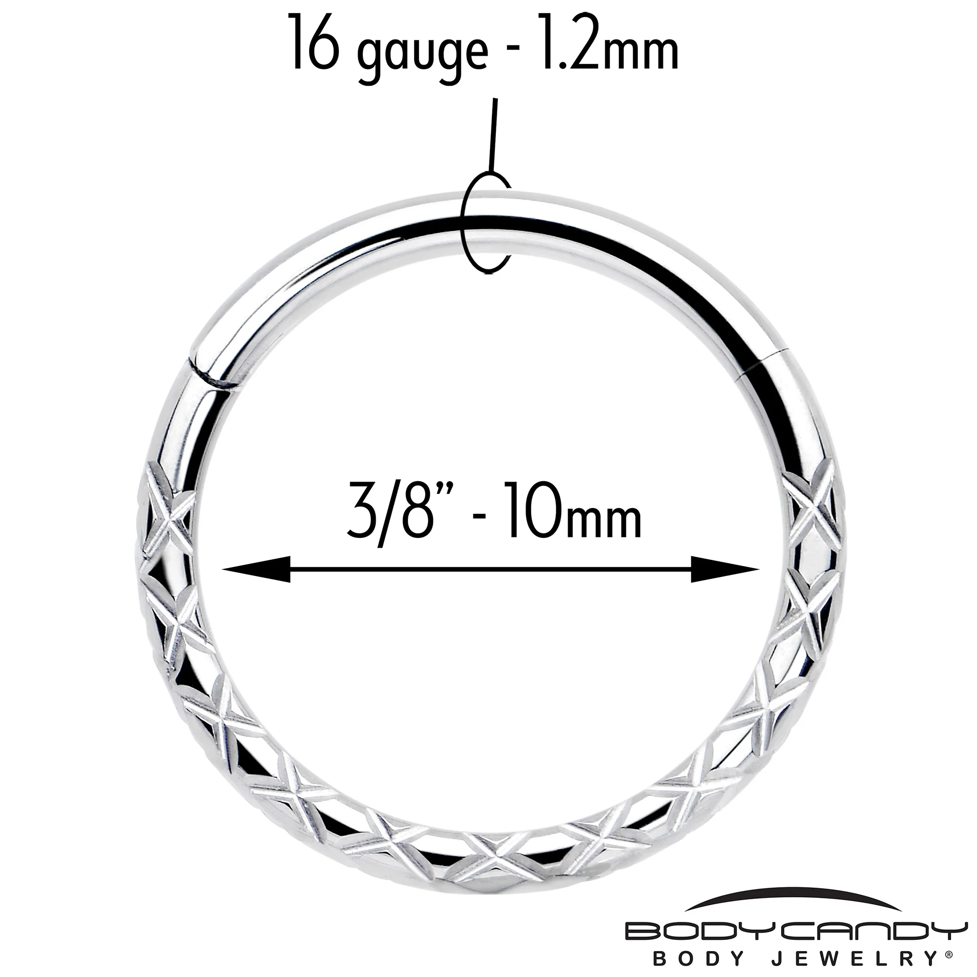 16G 3/8 Implant Grade Titanium Snakeskin Style Hinged Segment Ring - Image 3