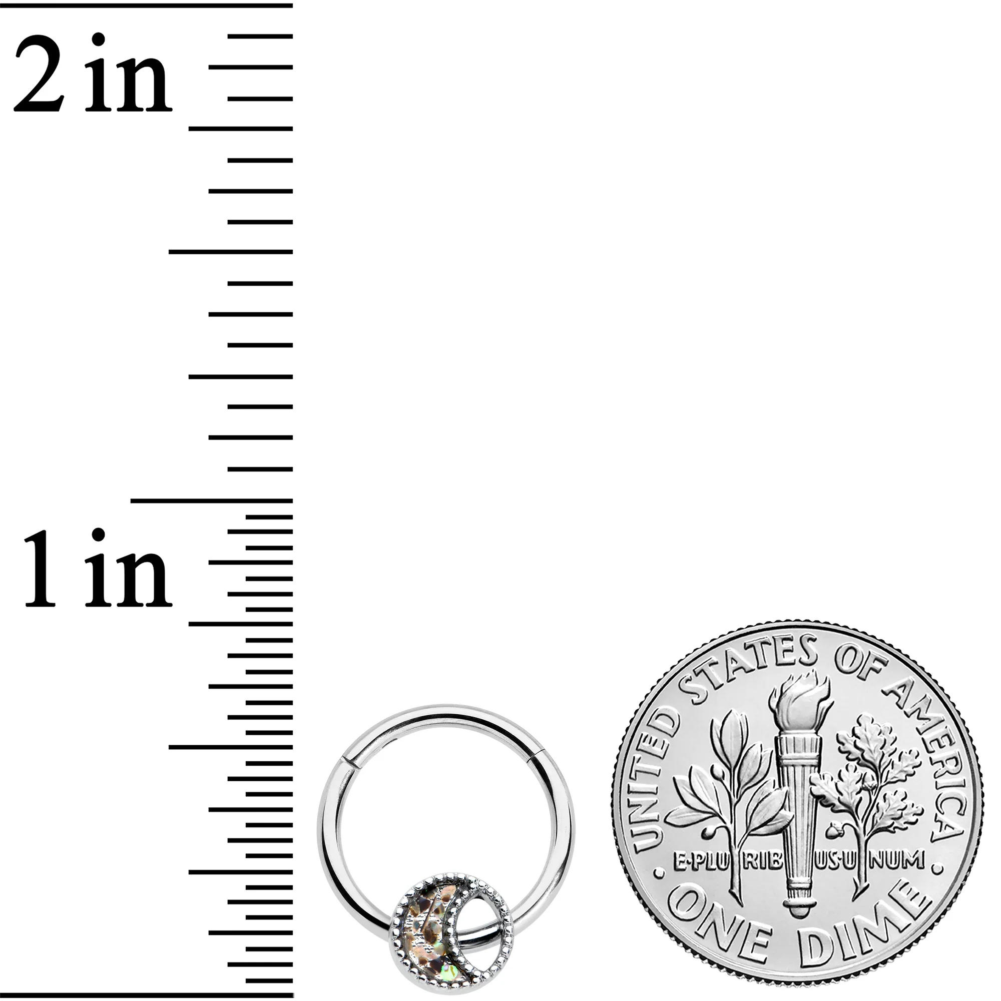 16G 3/8 Iridescent Crescent Moon Hinged Segment Ring - Image 3