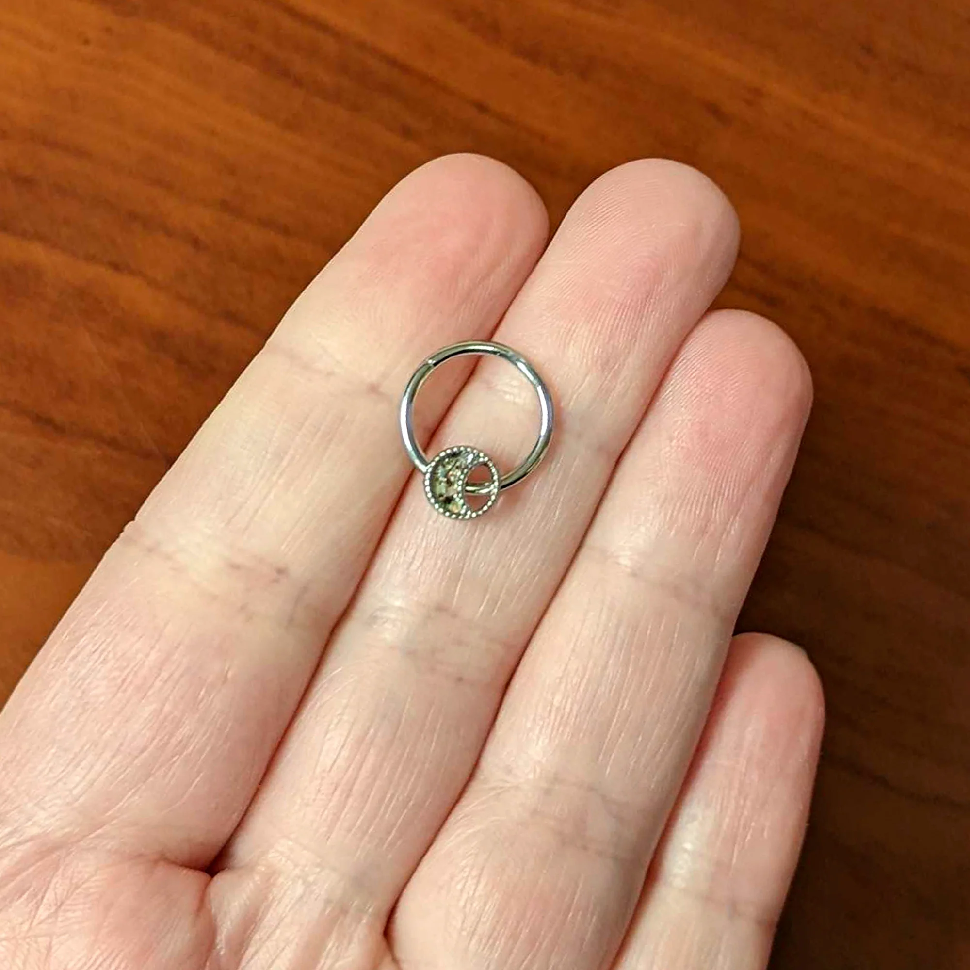 16G 3/8 Iridescent Crescent Moon Hinged Segment Ring - Image 4