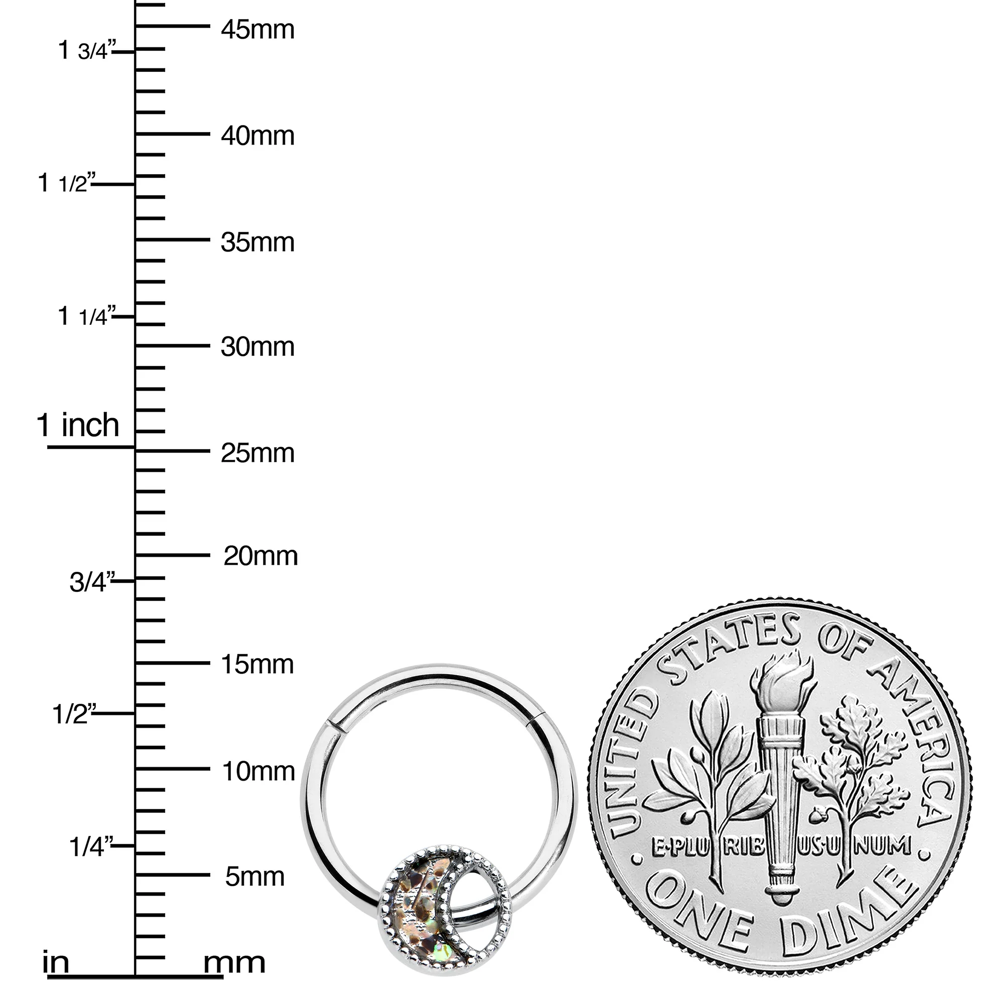 16G 3/8 Iridescent Crescent Moon Hinged Segment Ring - Image 5