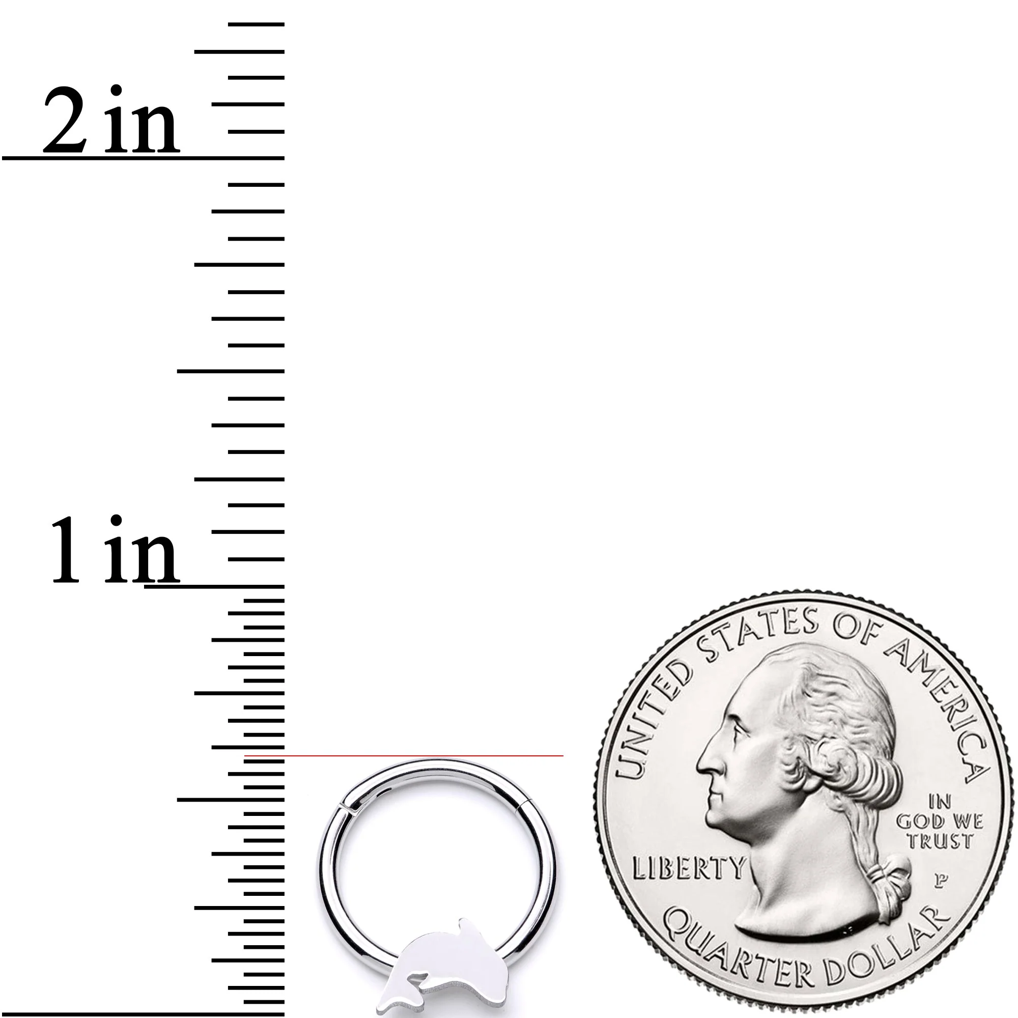 16G 3/8 Leaping Dolphin Hinged Segment Ring - Image 3