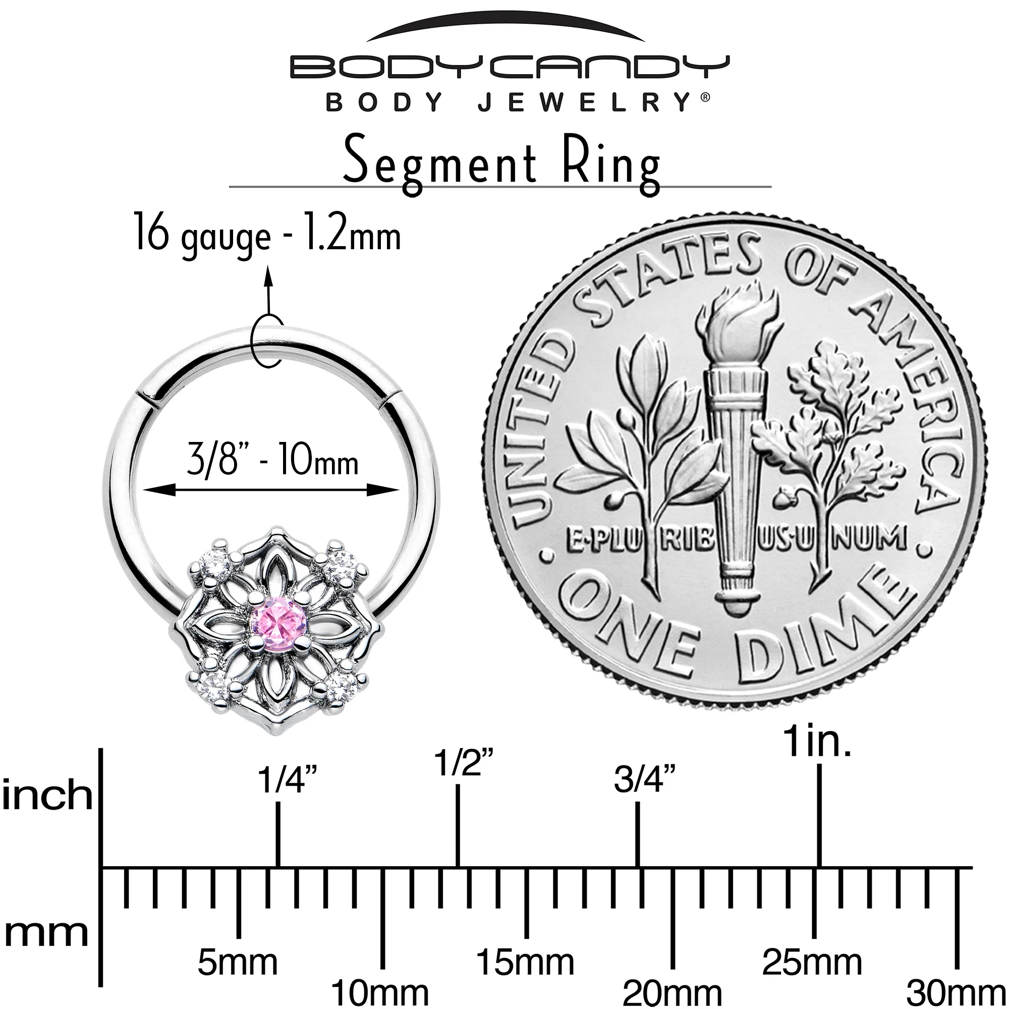 16G 3/8 Pink CZ Gem Flower Circle Hinged Segment Ring - Image 4