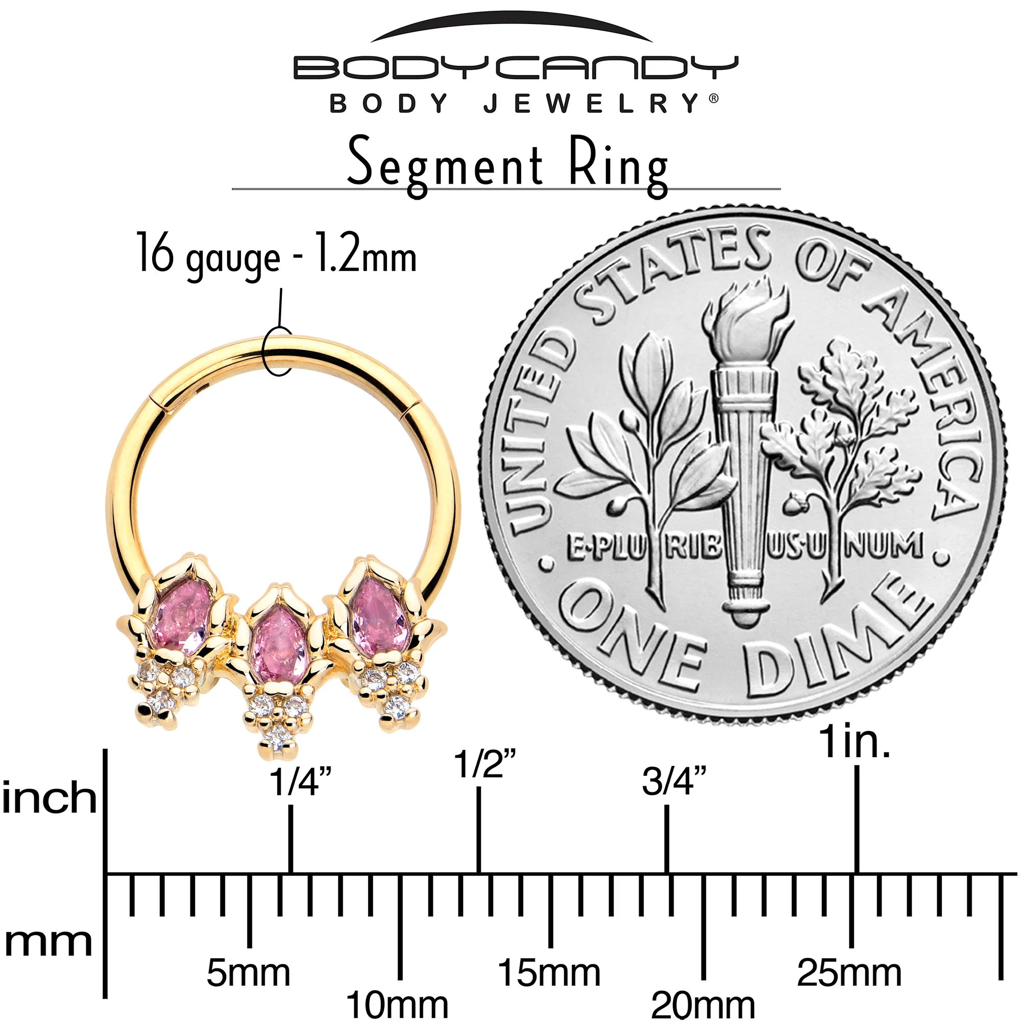 16G 3/8 Pink CZ Gem Gold Tone Style Fire Hinged Segment Ring - Image 4