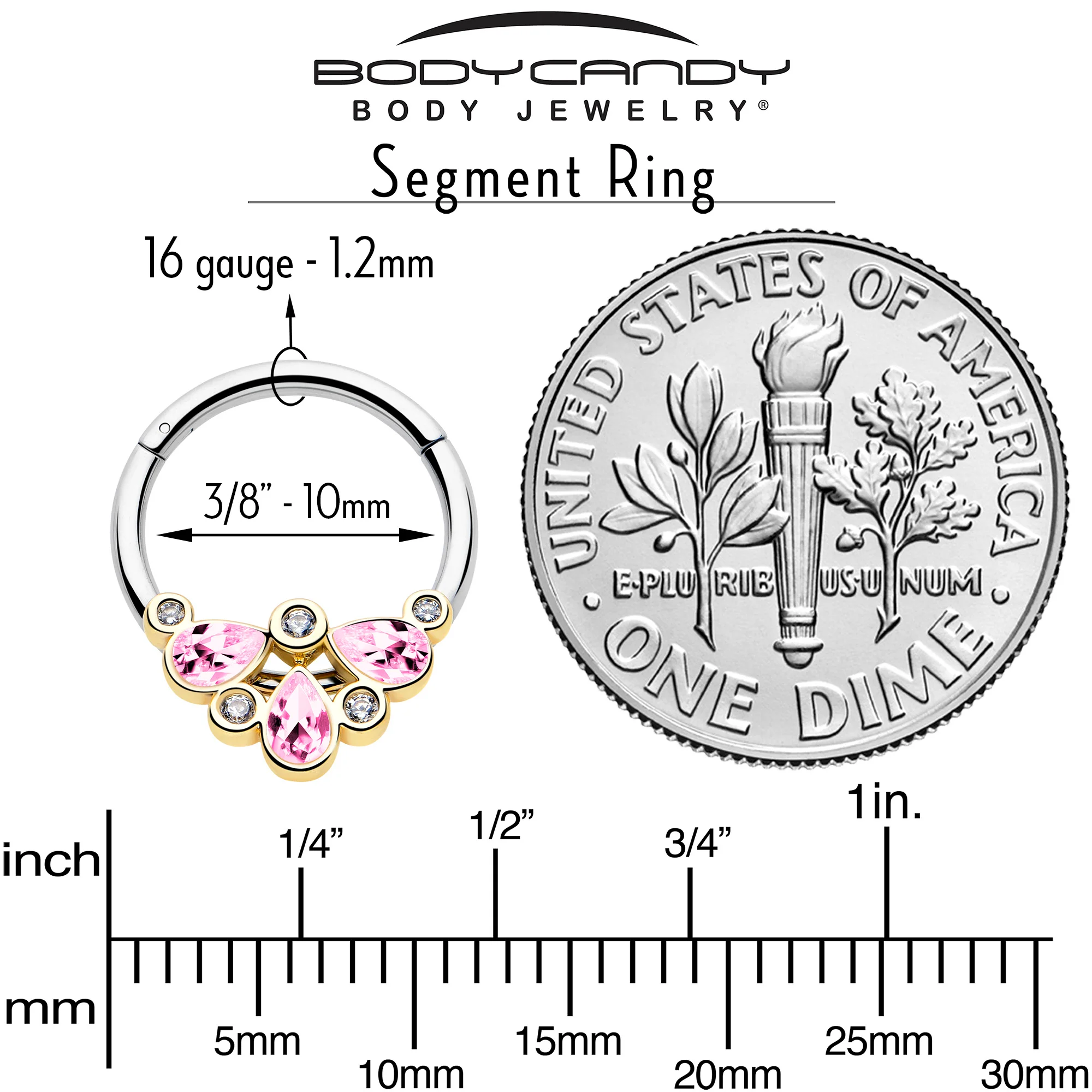 16G 3/8 Pink Gem Golden Crown Deluxe Hinged Segment Ring - Image 4