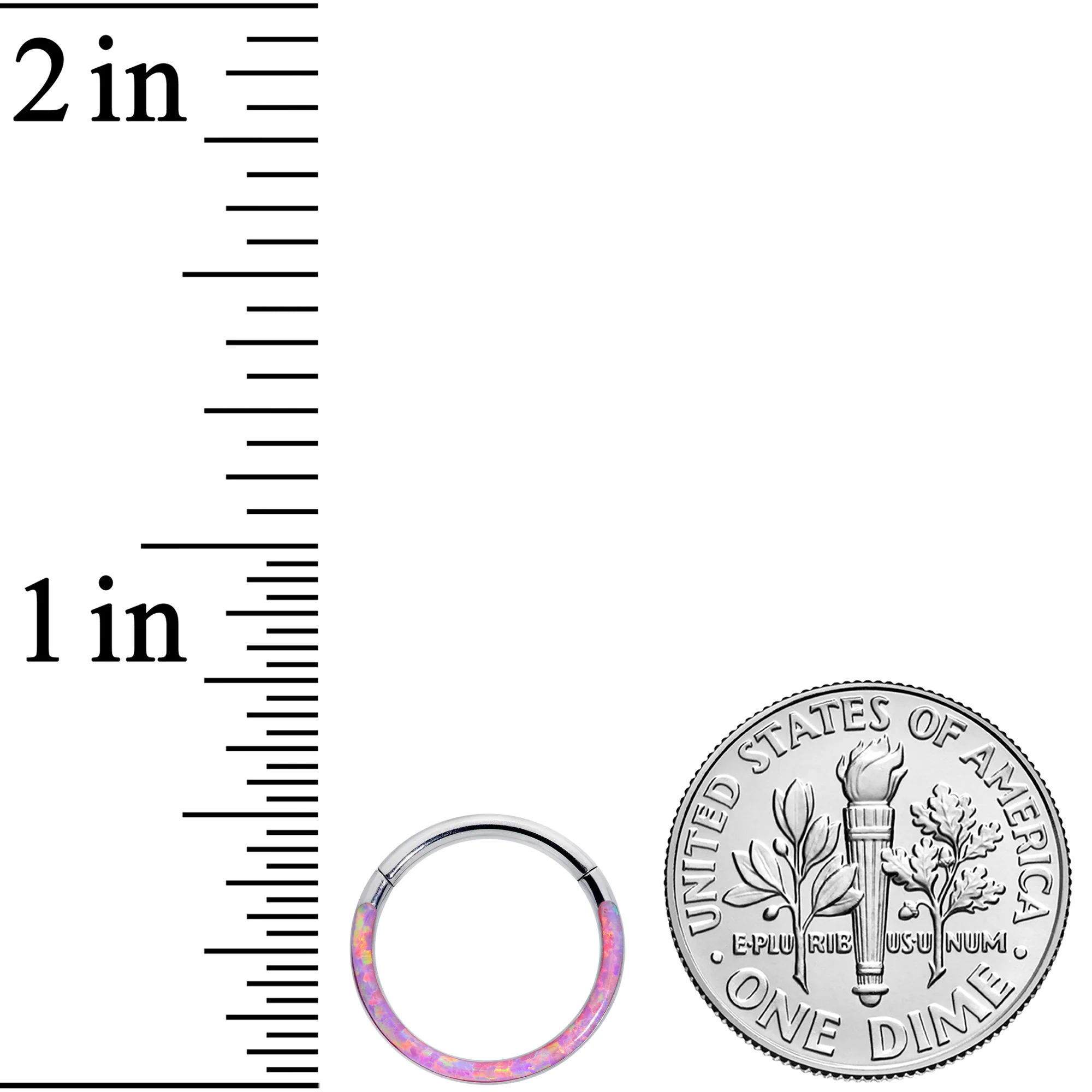 16G 3/8 Pink Synthetic Opal Implant Grade Titanium Segment Ring - Image 3