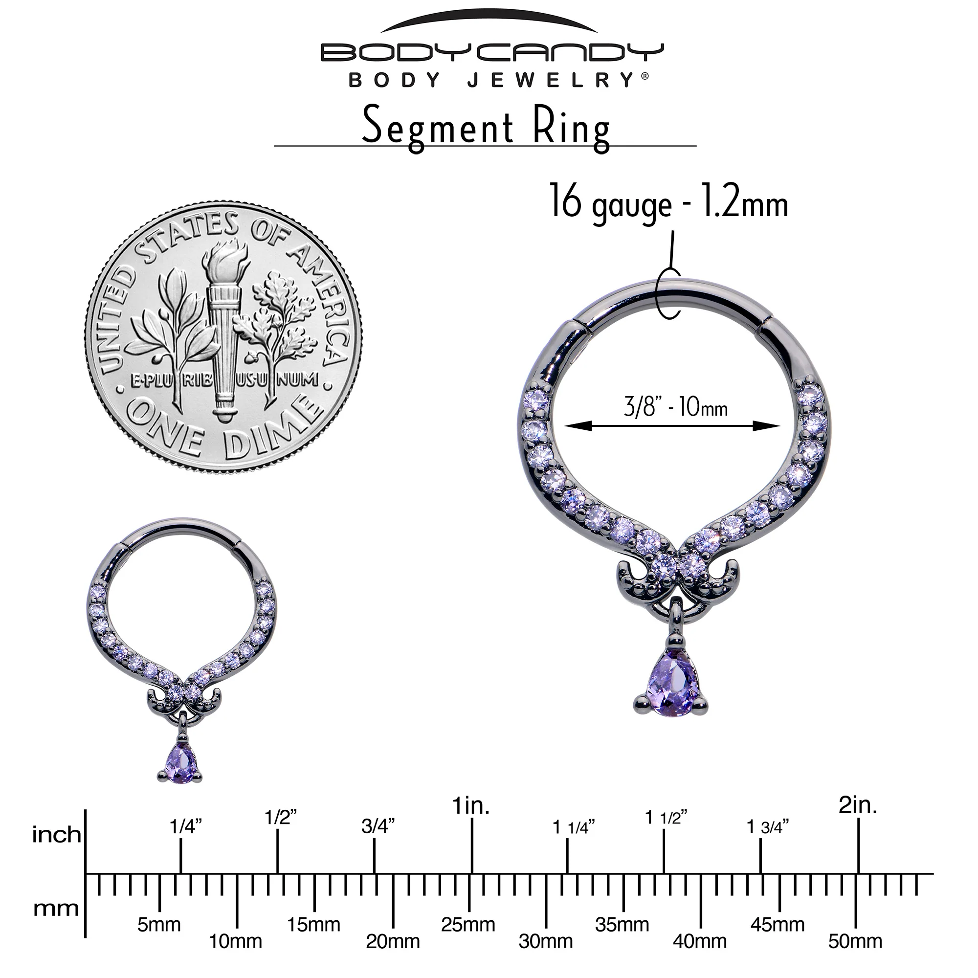16G 3/8 Purple CZ Gem Black Elegant Curves Dangle Hinged Segment Ring - Image 4