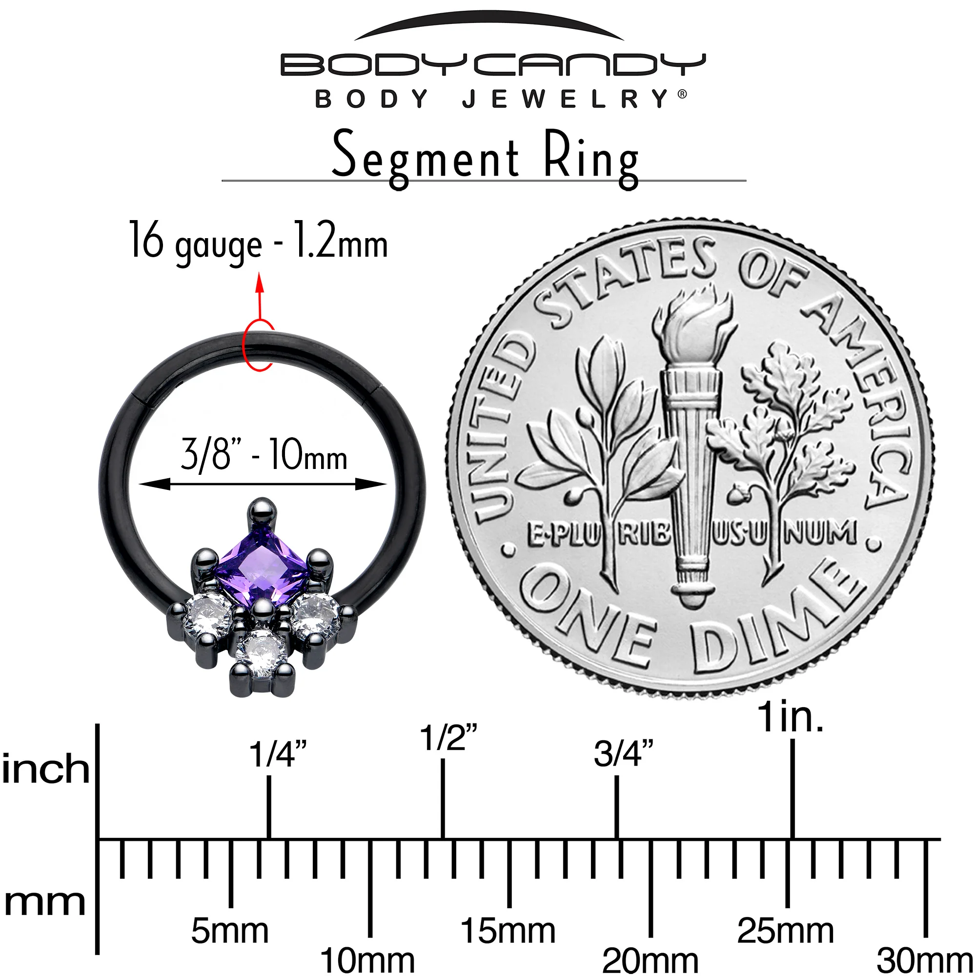 16G 3/8 Purple CZ Gem Black Rhombus Riot Hinged Segment Ring - Image 4