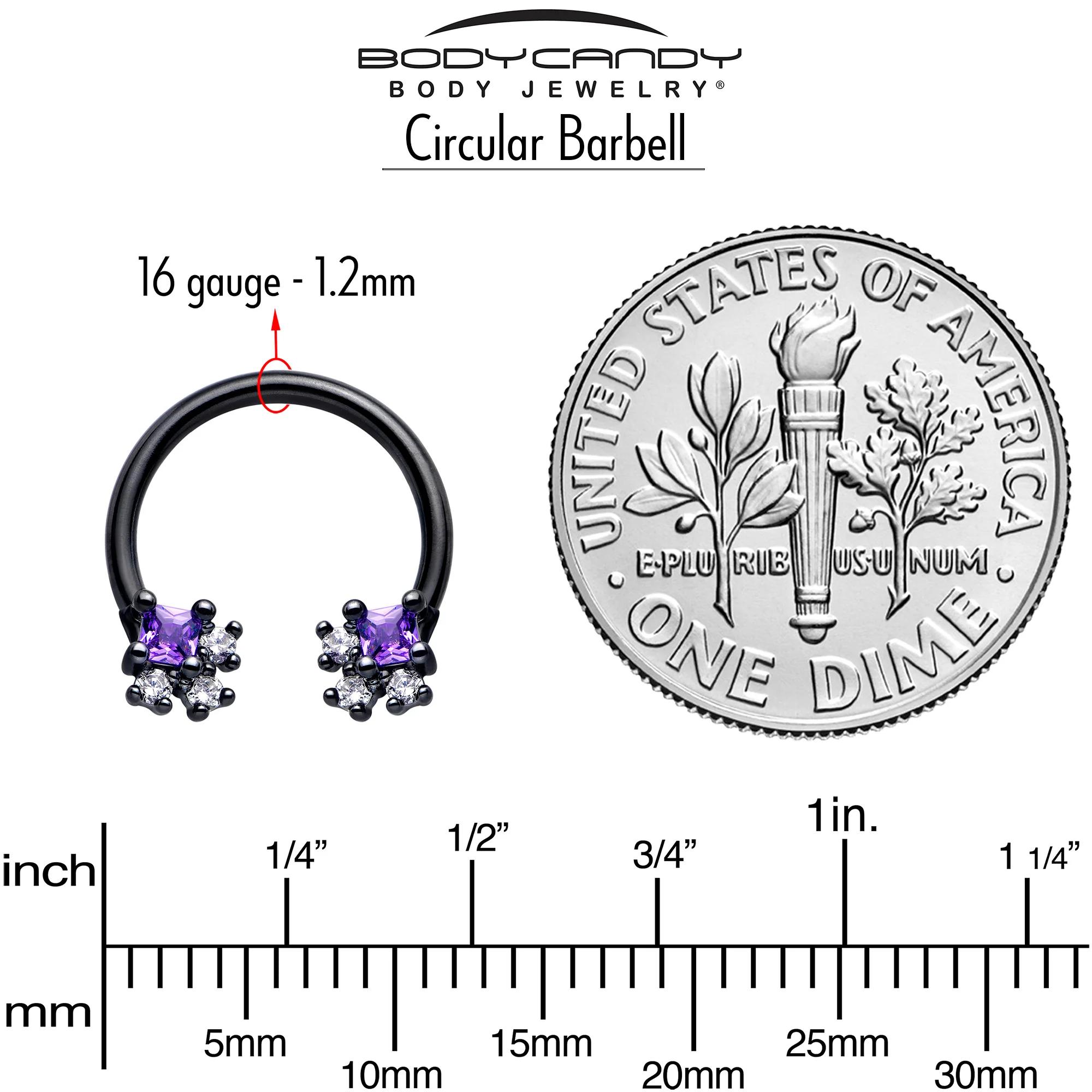 16G 3/8 Purple CZ Gem Black Rhombus Riot Horseshoe Circular Barbell - Image 4