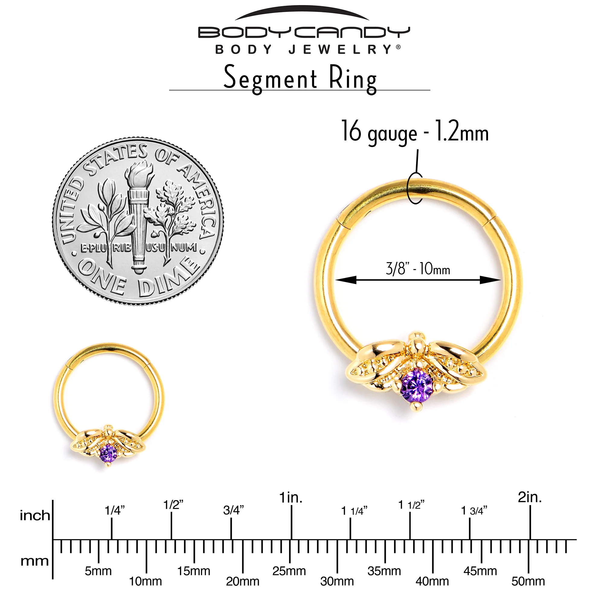 16G 3/8 Purple Gem Gold Tone Beauty Bug Hinged Segment Ring - Image 4