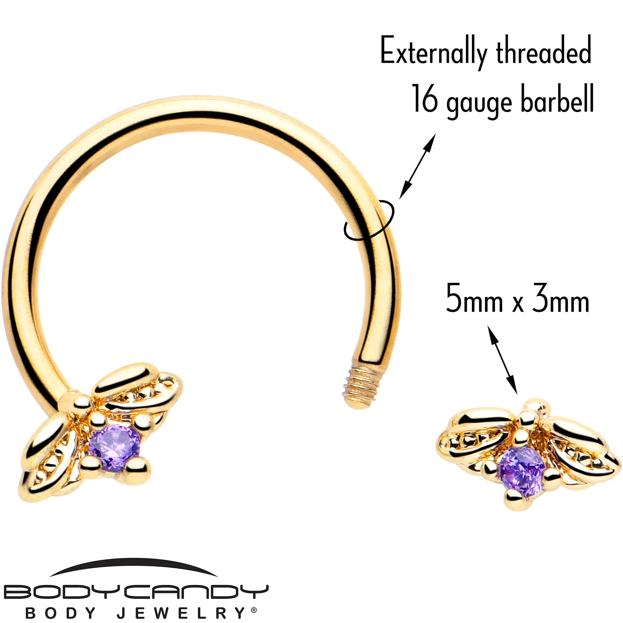 16G 3/8 Purple Gem Gold Tone Beauty Bug Horseshoe Circular Barbell - Image 3