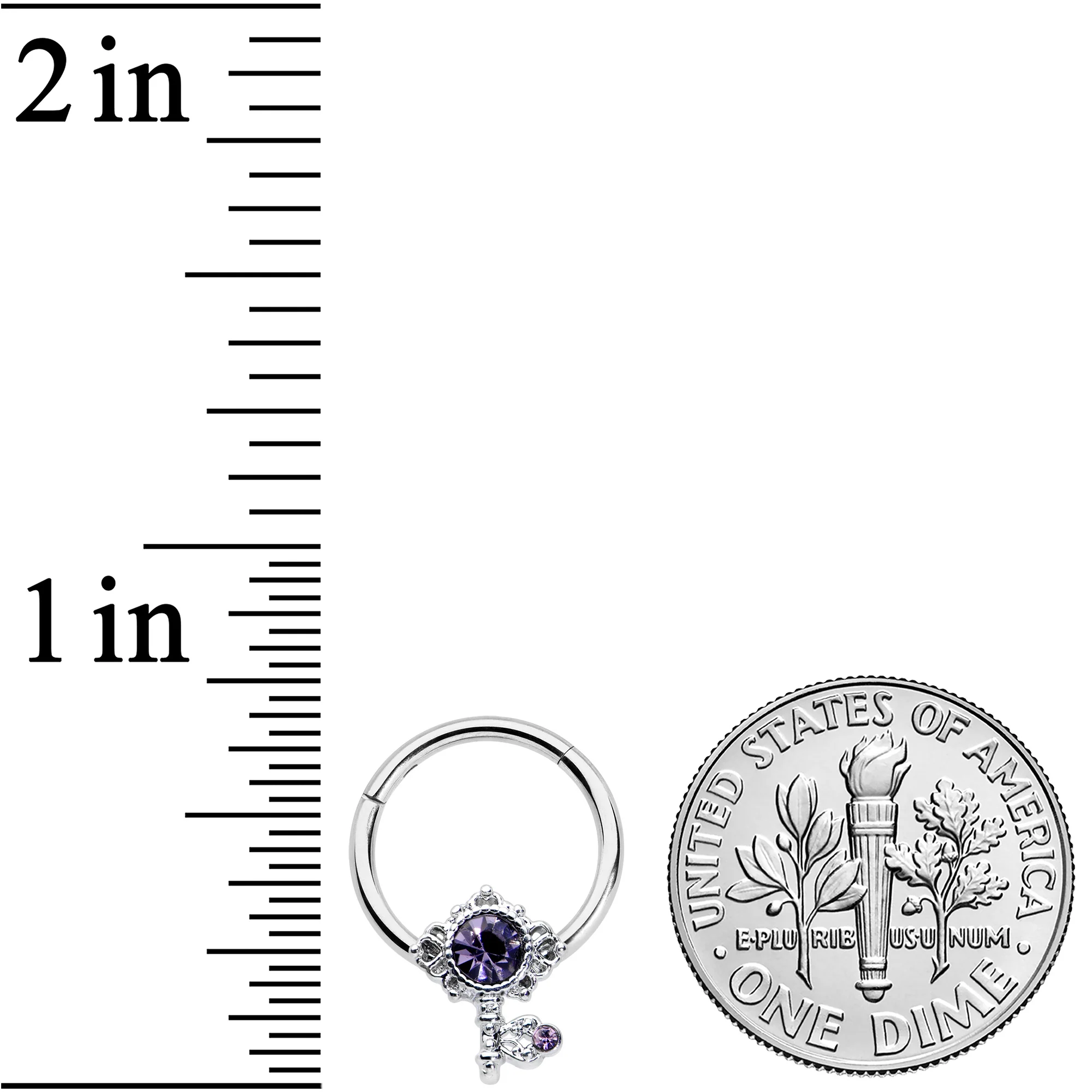 16G 3/8 Purple Gem Unlock My Heart Key Hinged Segment Ring - Image 3
