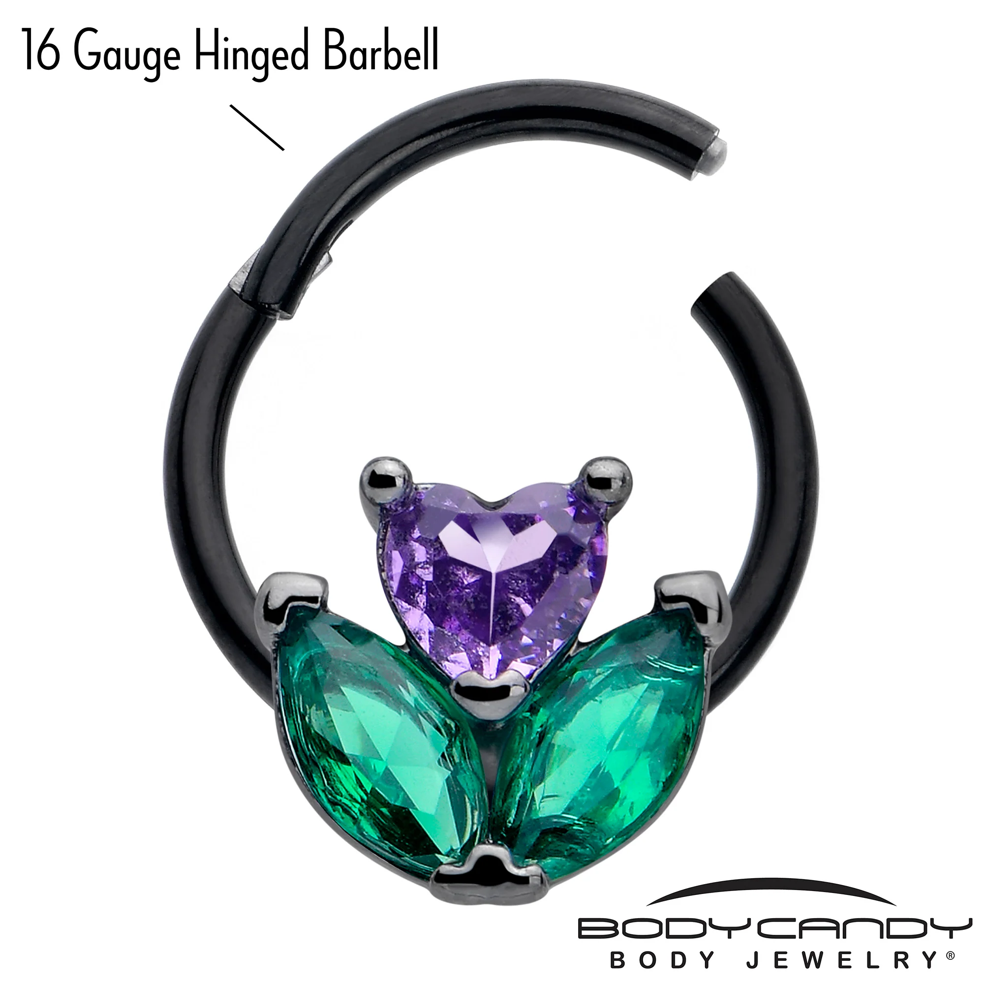 16G 3/8 Purple Green CZ Gem Black Love Flower Hinged Segment Ring - Image 3