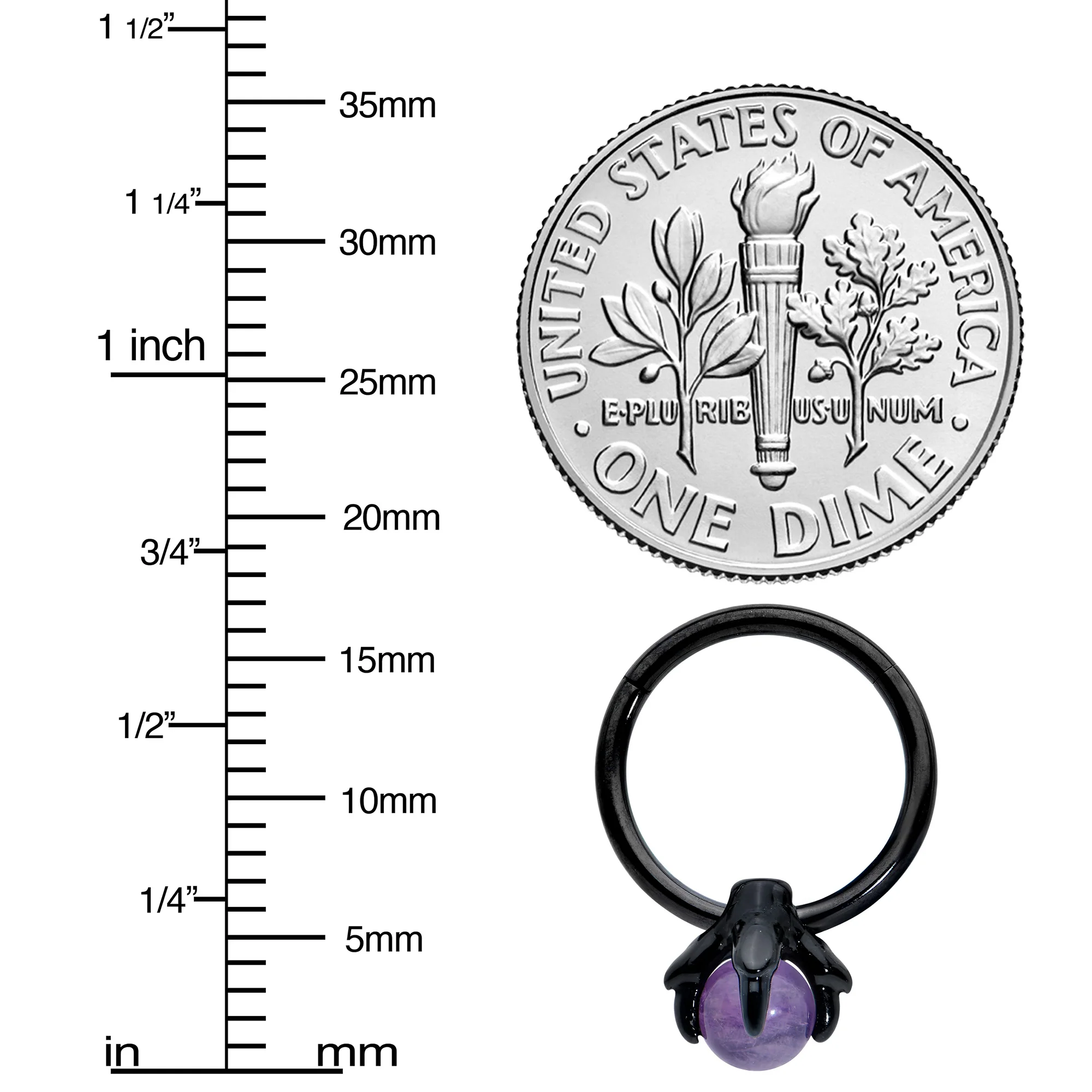 16G 3/8 Purple Amethyst Black Claw Hand Hinged Segment Ring - Image 4