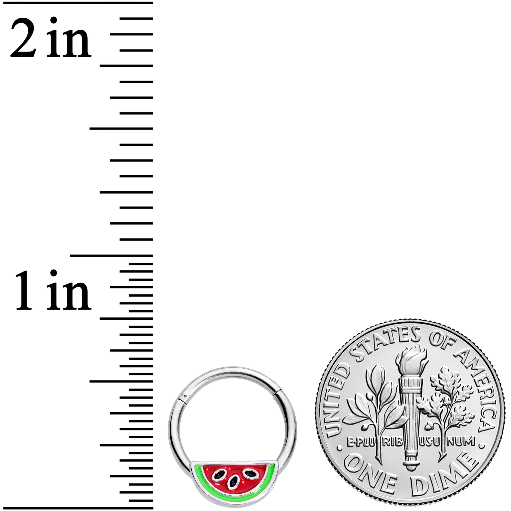 16G 3/8  Red Green Juicy Watermelon Fruit Hinged Segment Ring - Image 3