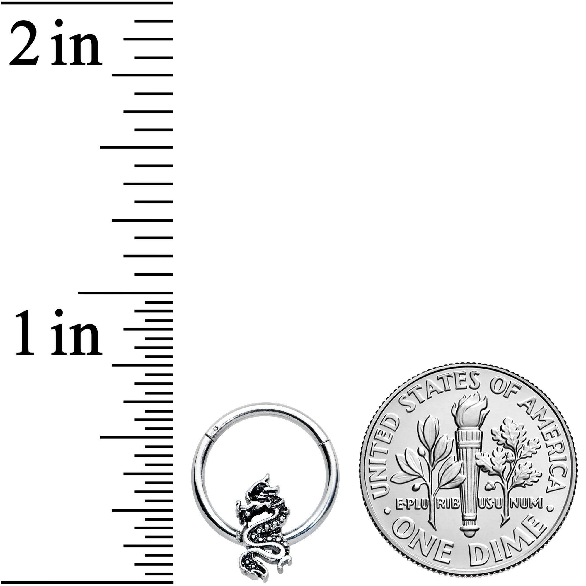 16G 3/8 Regal Medieval Dragon Hinged Segment Ring - Image 3