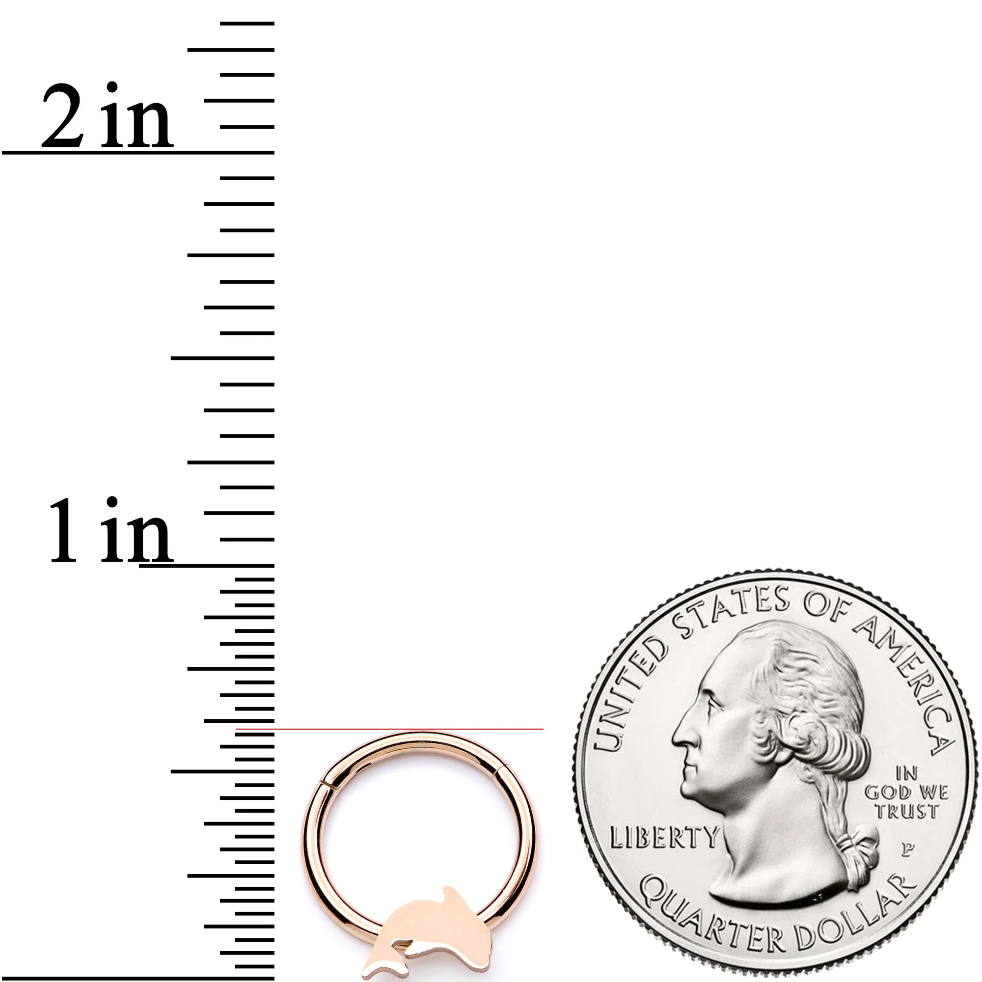16G 3/8 Rose Gold Leaping Dolphin Hinged Segment Ring - Image 3