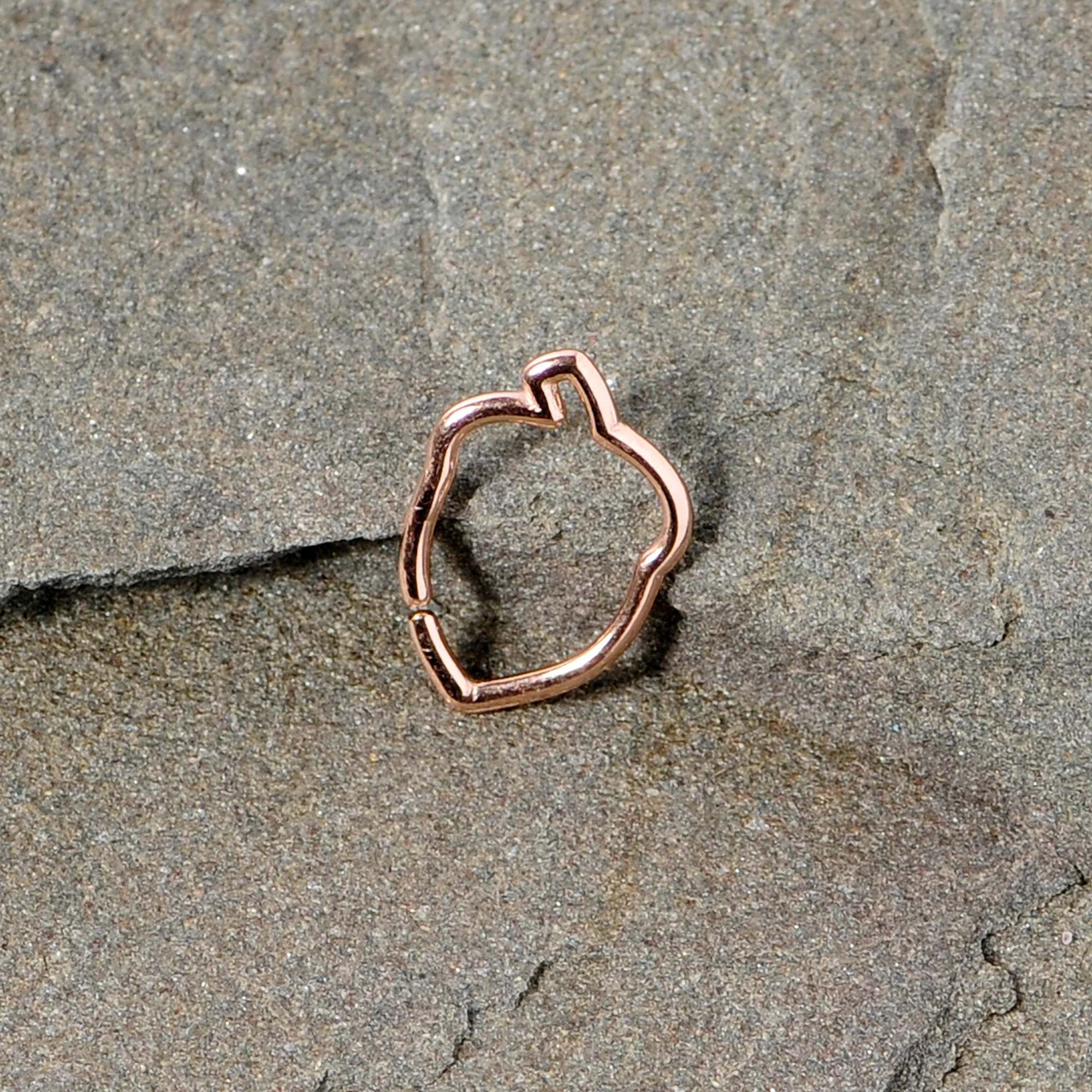 16G 3/8 Rose Gold Tone Autumn Acorn Closure Ring - Image 4