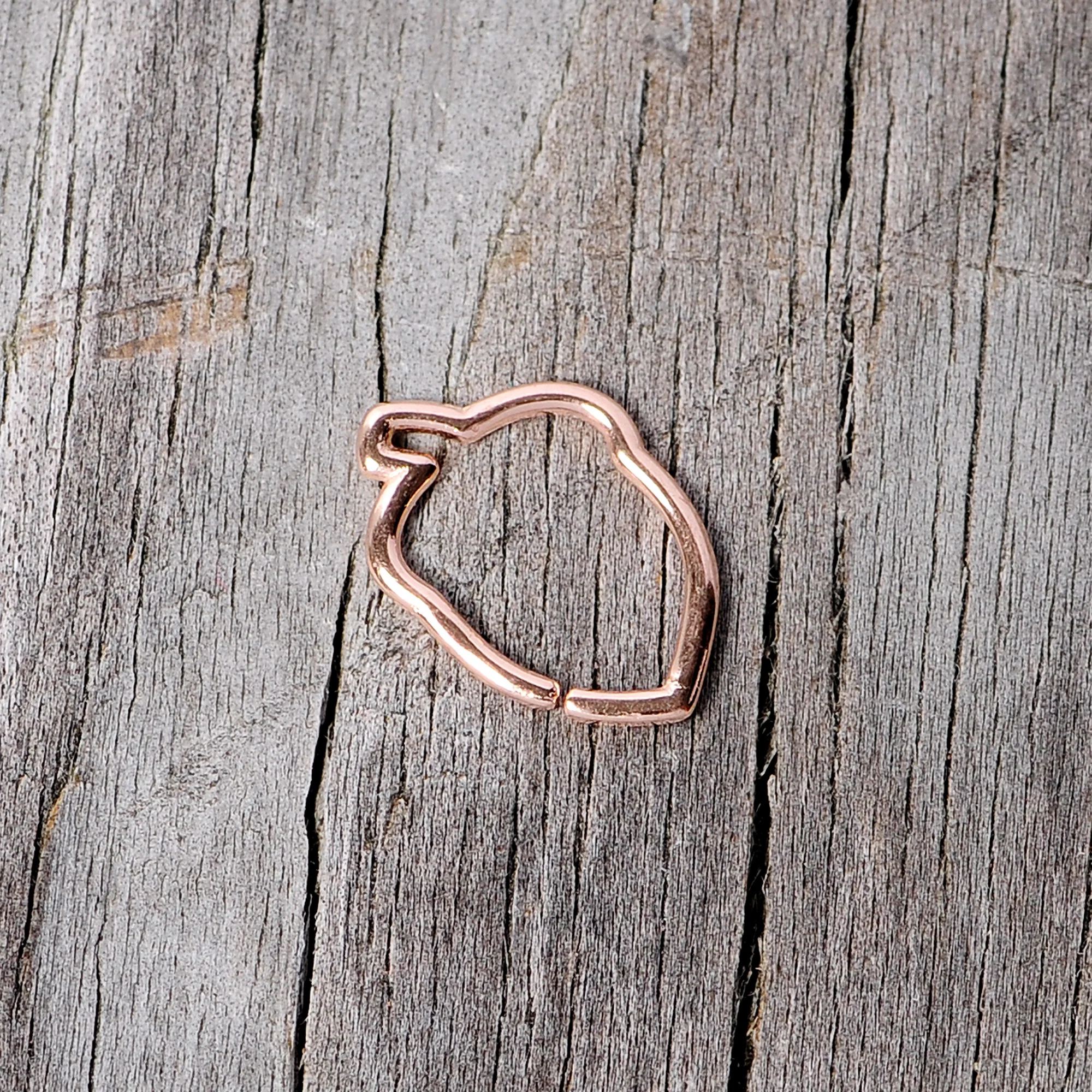 16G 3/8 Rose Gold Tone Autumn Acorn Closure Ring - Image 5