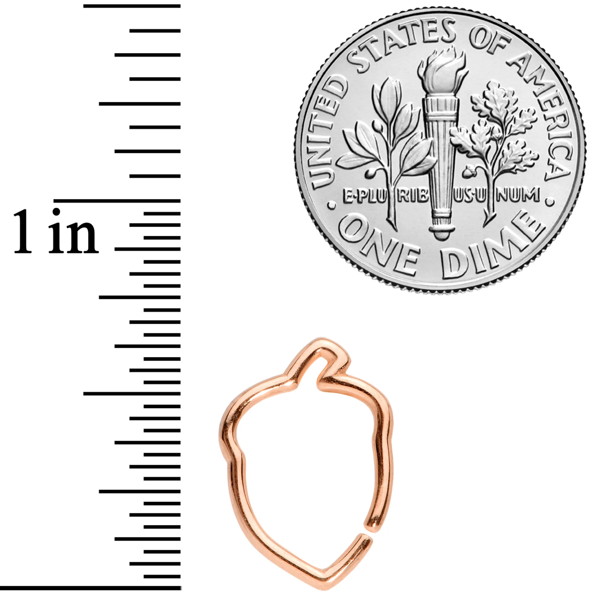 16G 3/8 Rose Gold Tone Autumn Acorn Closure Ring - Image 6