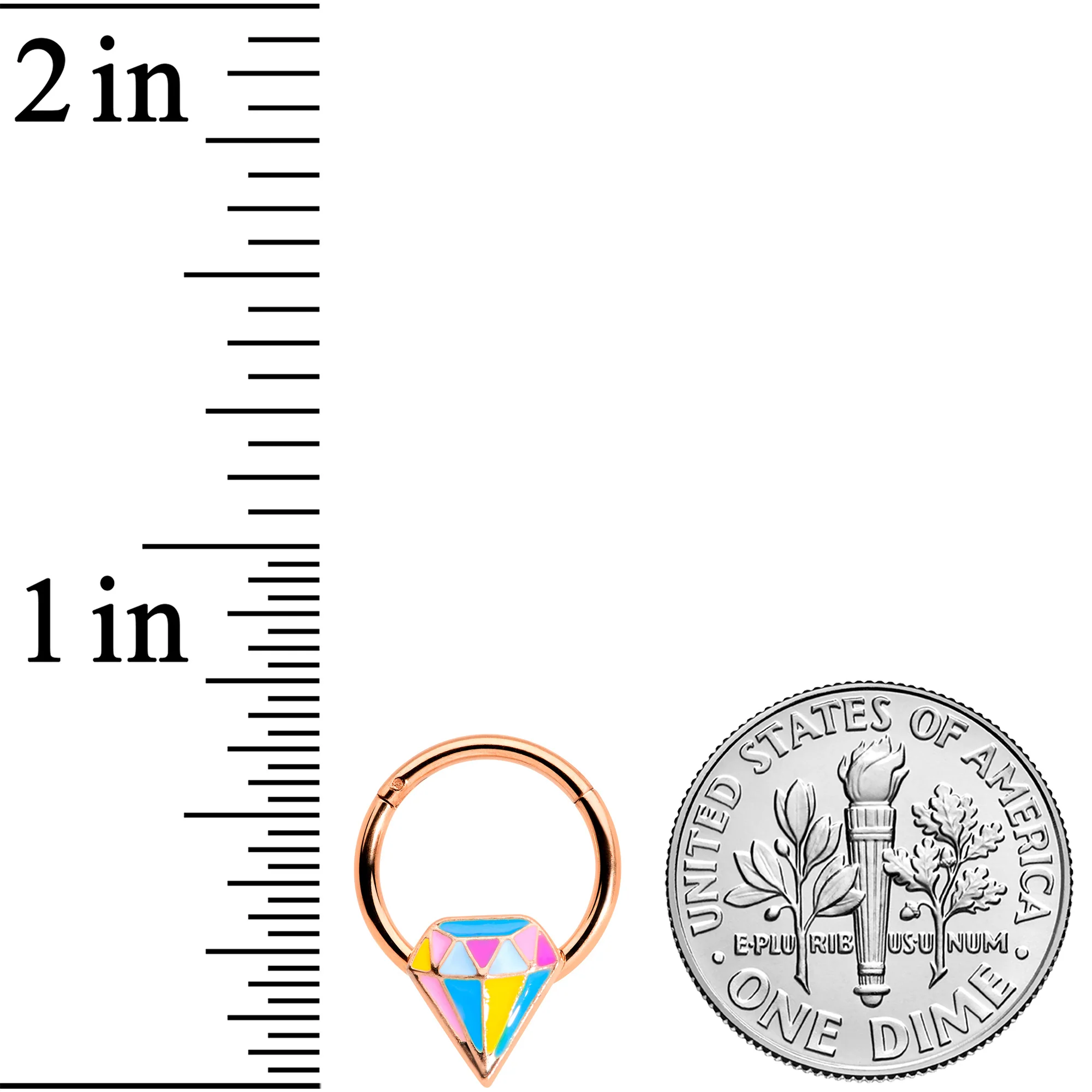 16G 3/8 Rose Gold Tone Geologist Prize Hinged Segment Ring - Image 3