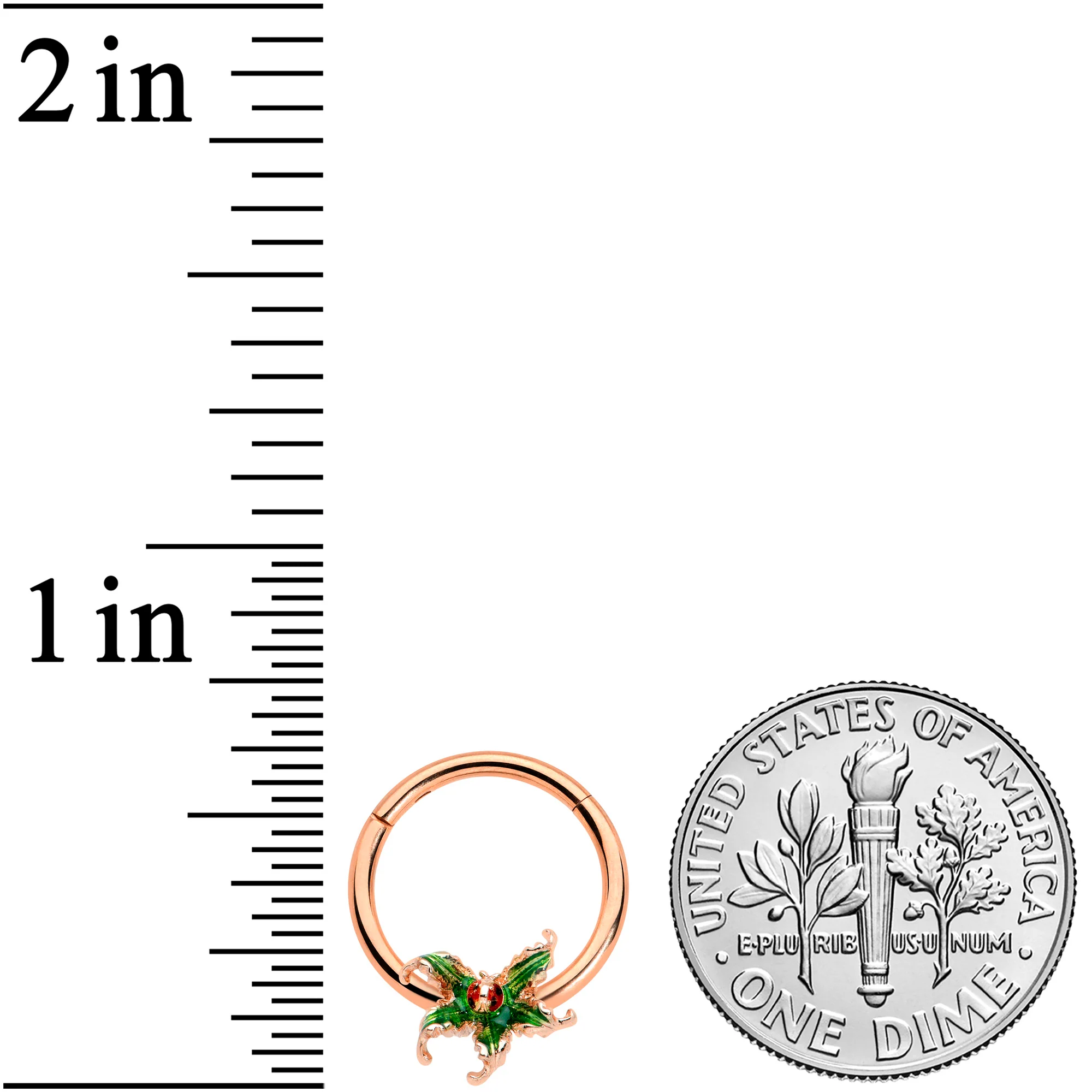 16G 3/8 Rose Gold Tone Tiny Ladybug Leaves Hinged Segment Ring - Image 3