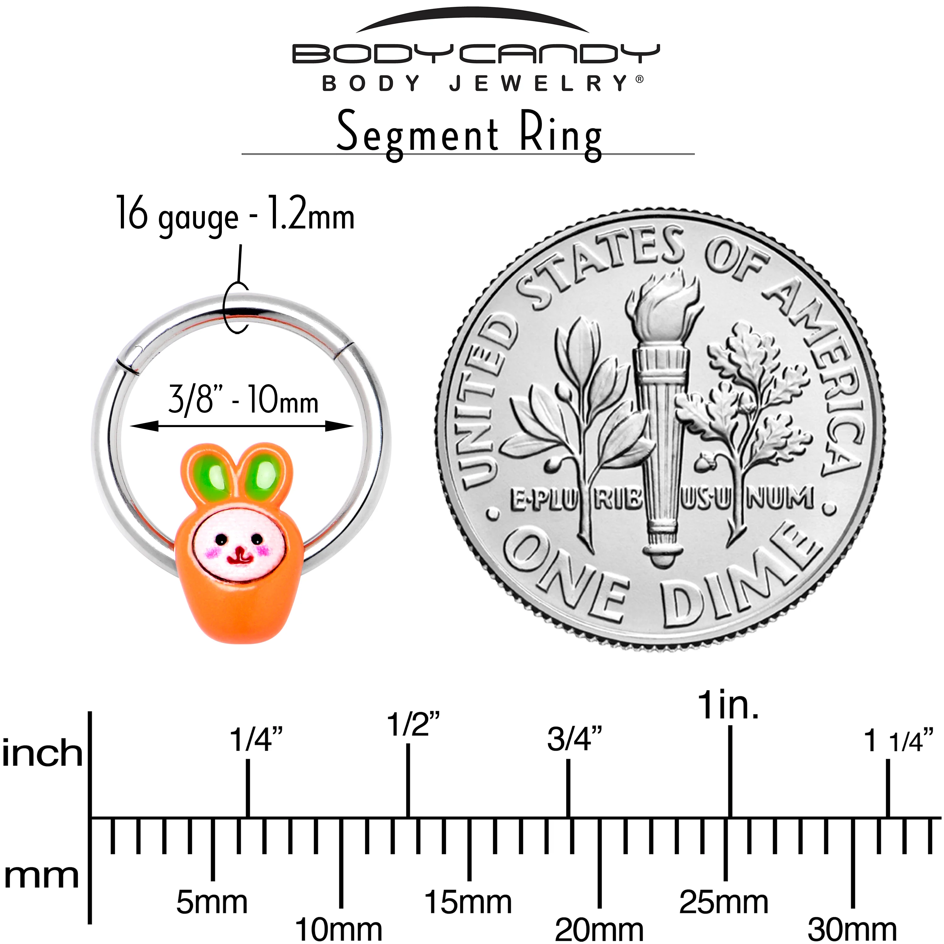16G 3/8 Surprise Carrot Easter Bunny Hinged Segment Ring - Image 6