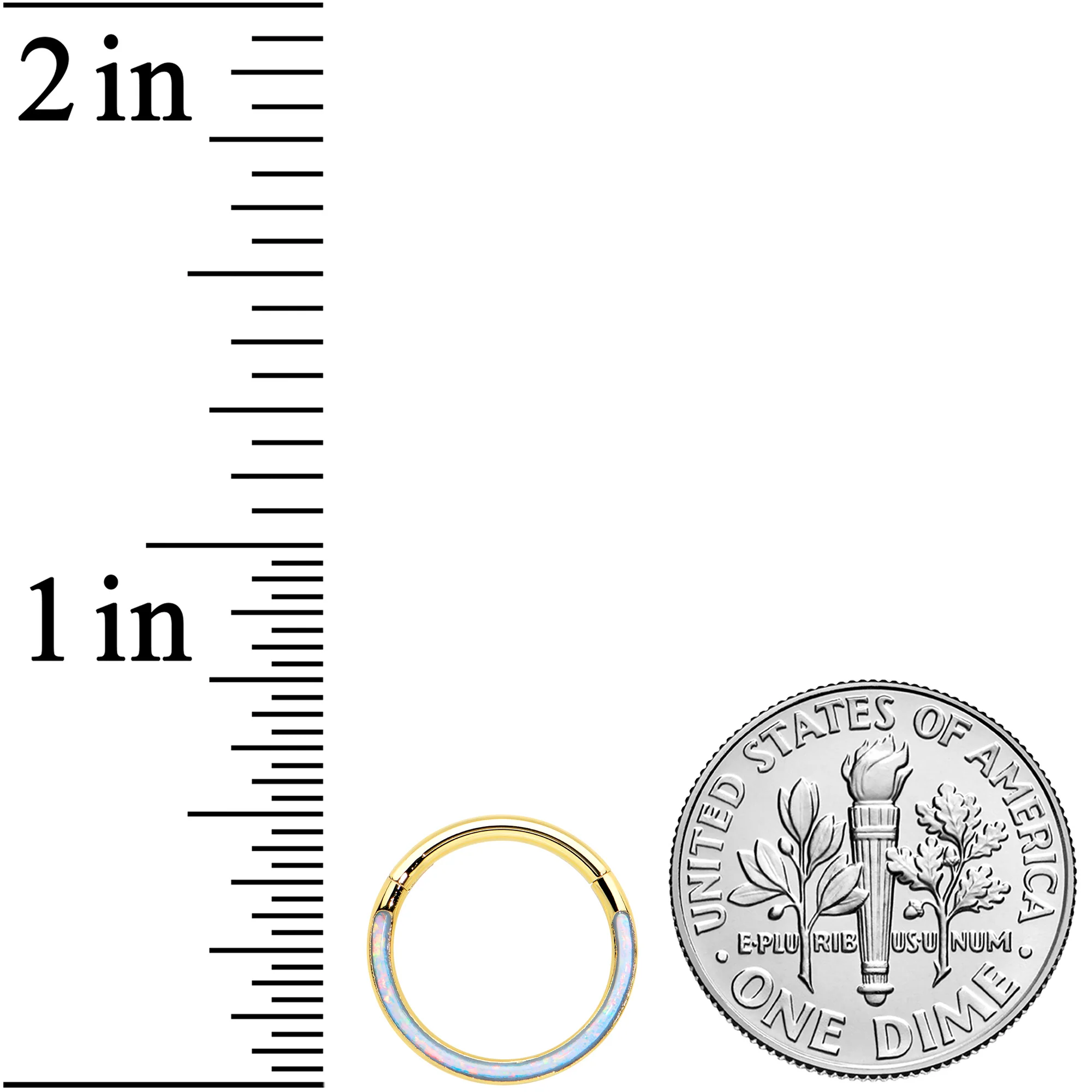 16G 3/8 Synth Opal Gold Tone Bottom Curve Hinged Segment Ring - Image 3