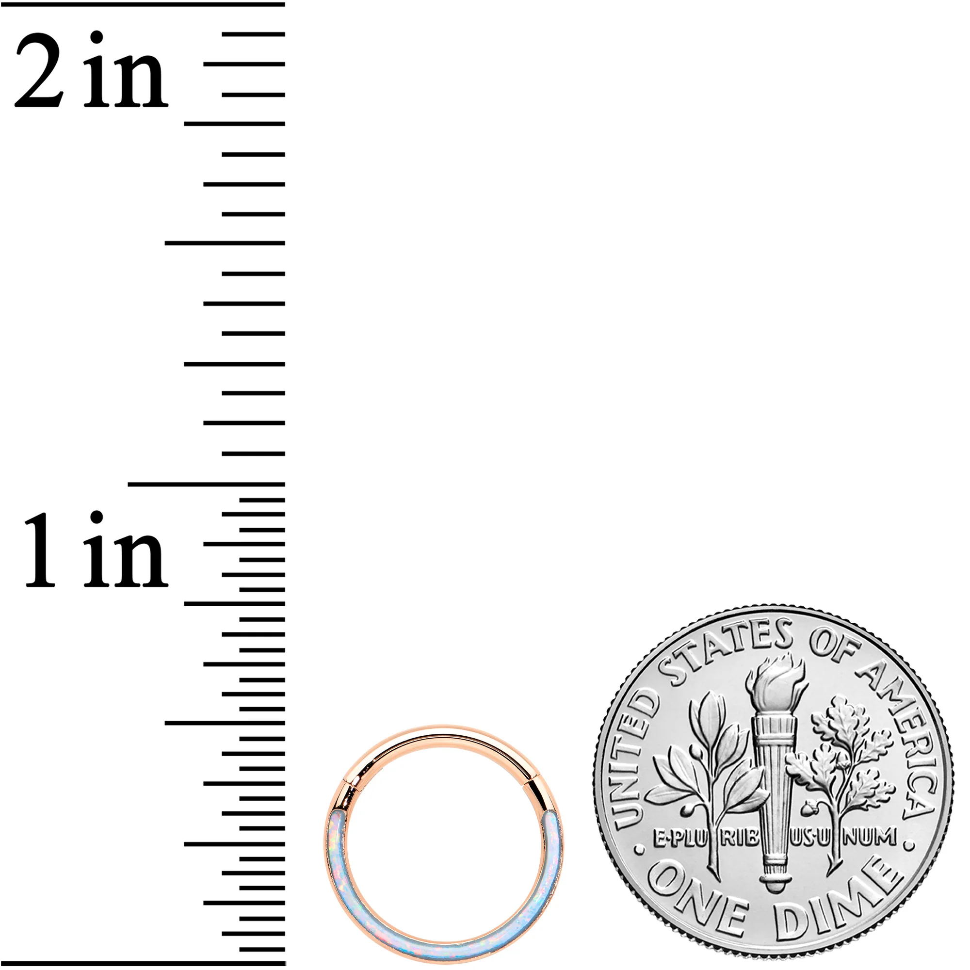16G 3/8 Synth Opal Rose Gold Tone Bottom Curve Hinge Segment Ring - Image 3