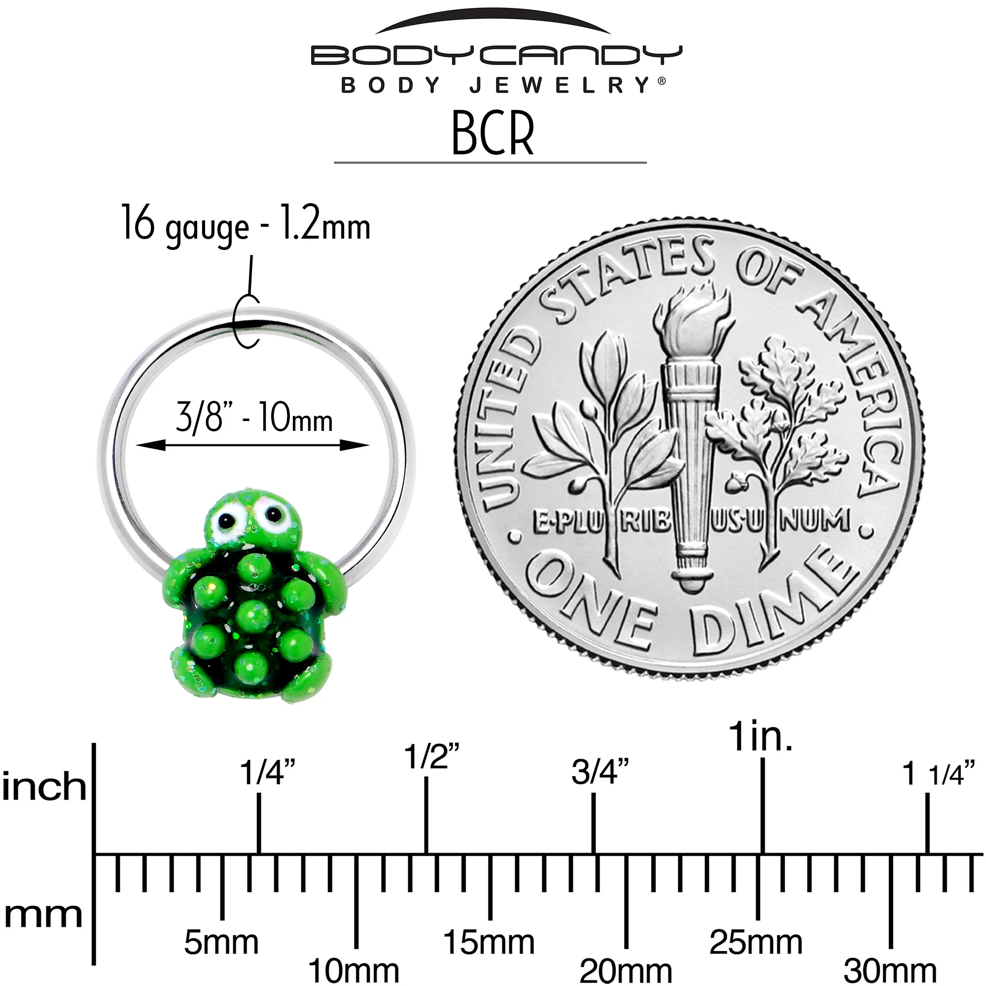 16G 3/8 Texture Turtle BCR Captive Ring - Image 5