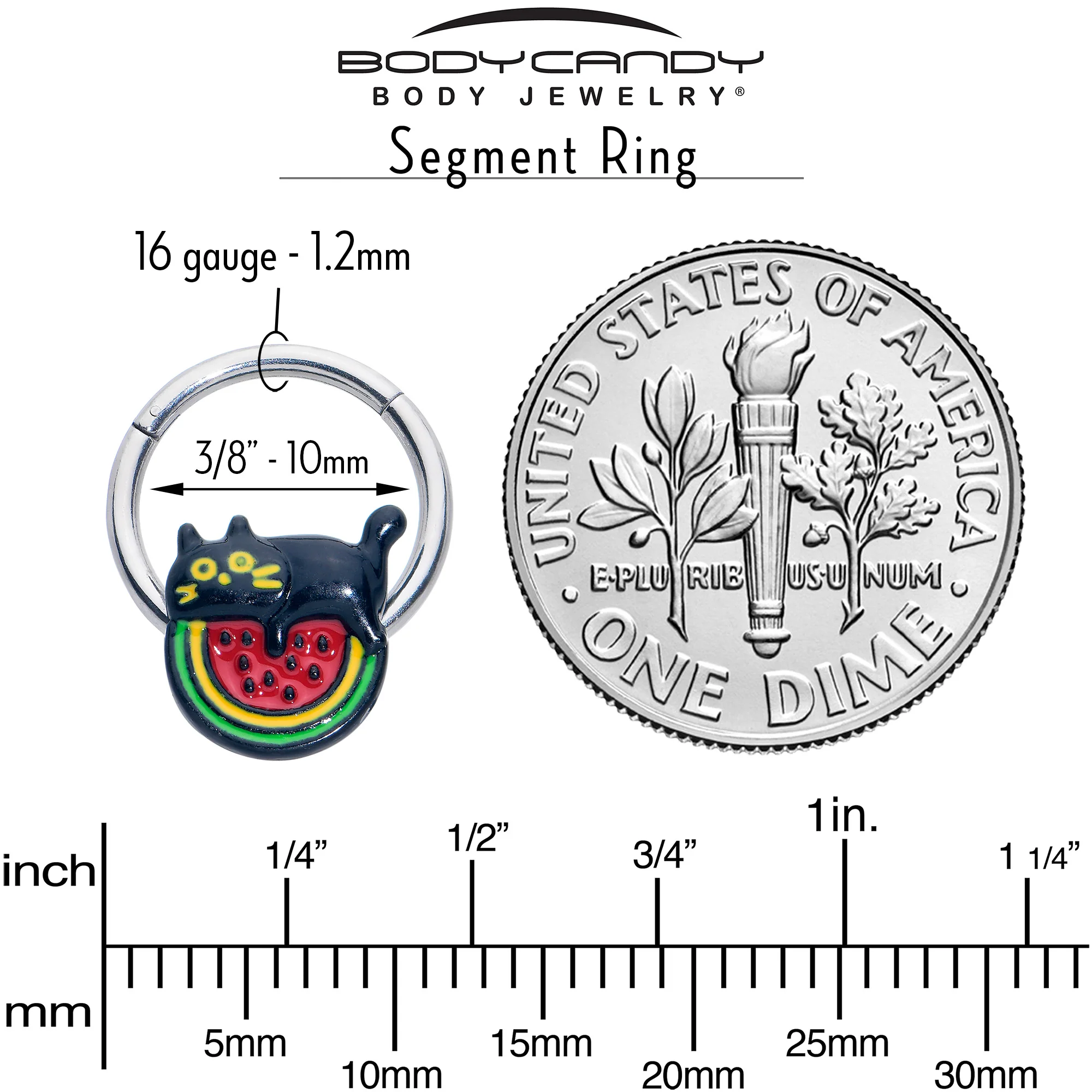 16G 3/8 Watermelon Cat Love Hinged Segment Ring - Image 7