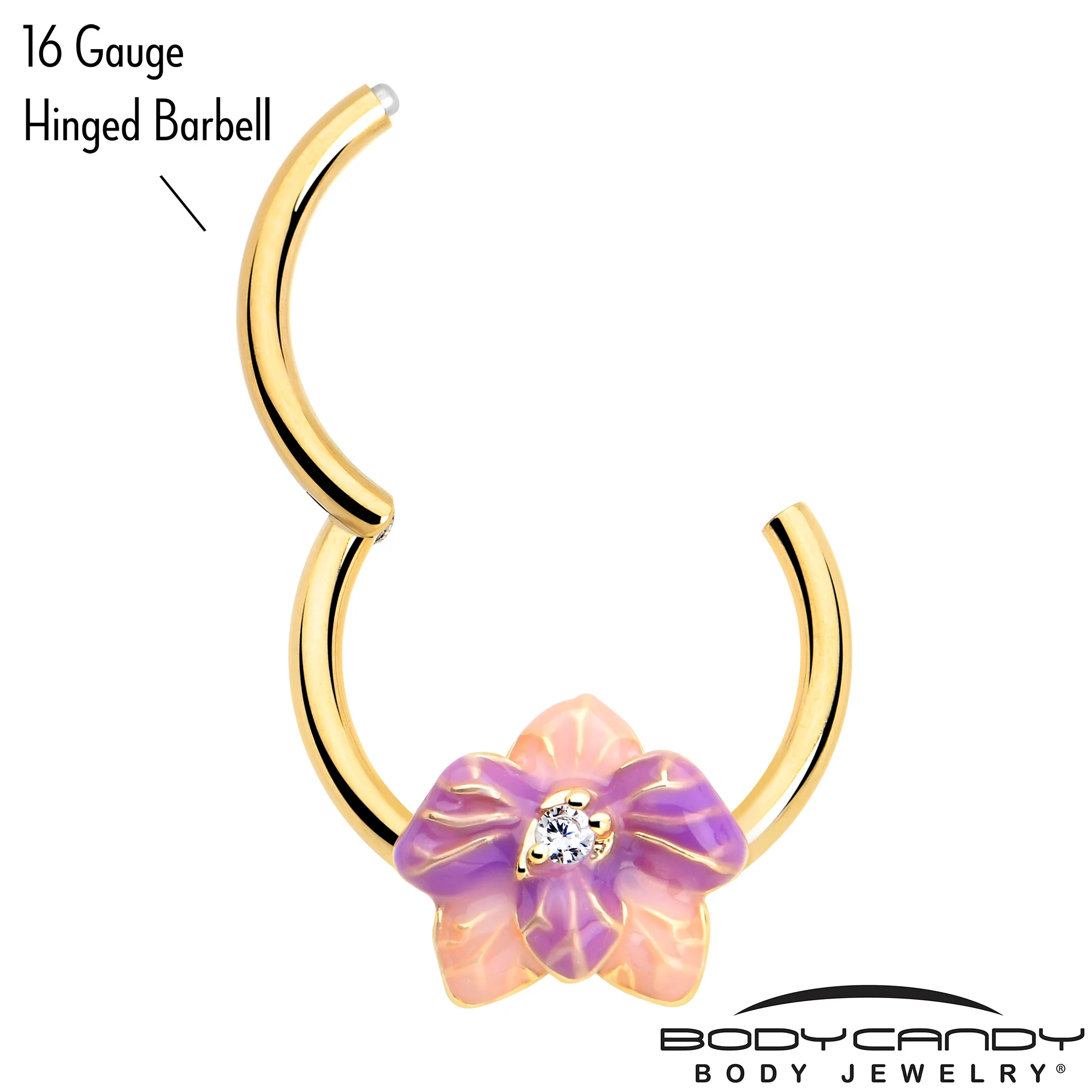 16G 3/8 Clear Gem Gold Tone Pastel Flower Hinged Segment Ring - Image 2