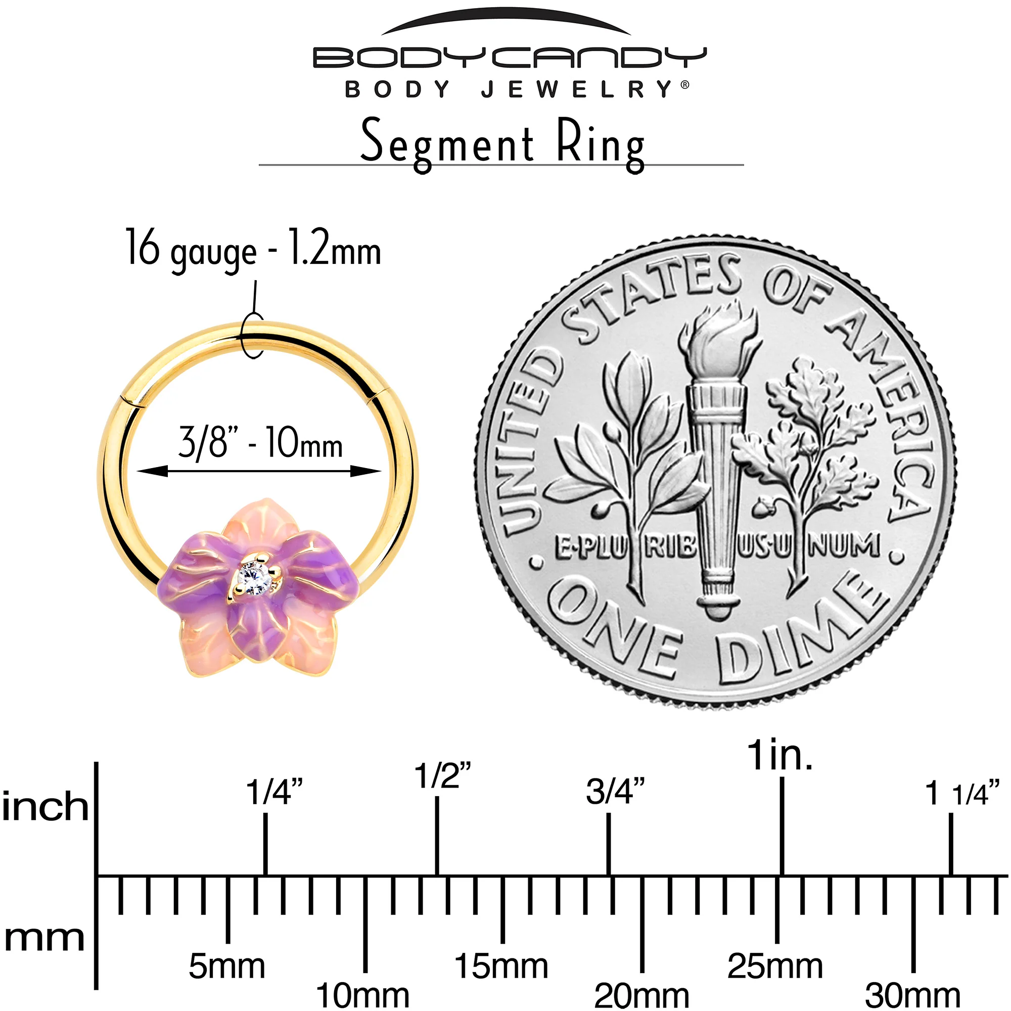 16G 3/8 Clear Gem Gold Tone Pastel Flower Hinged Segment Ring - Image 3