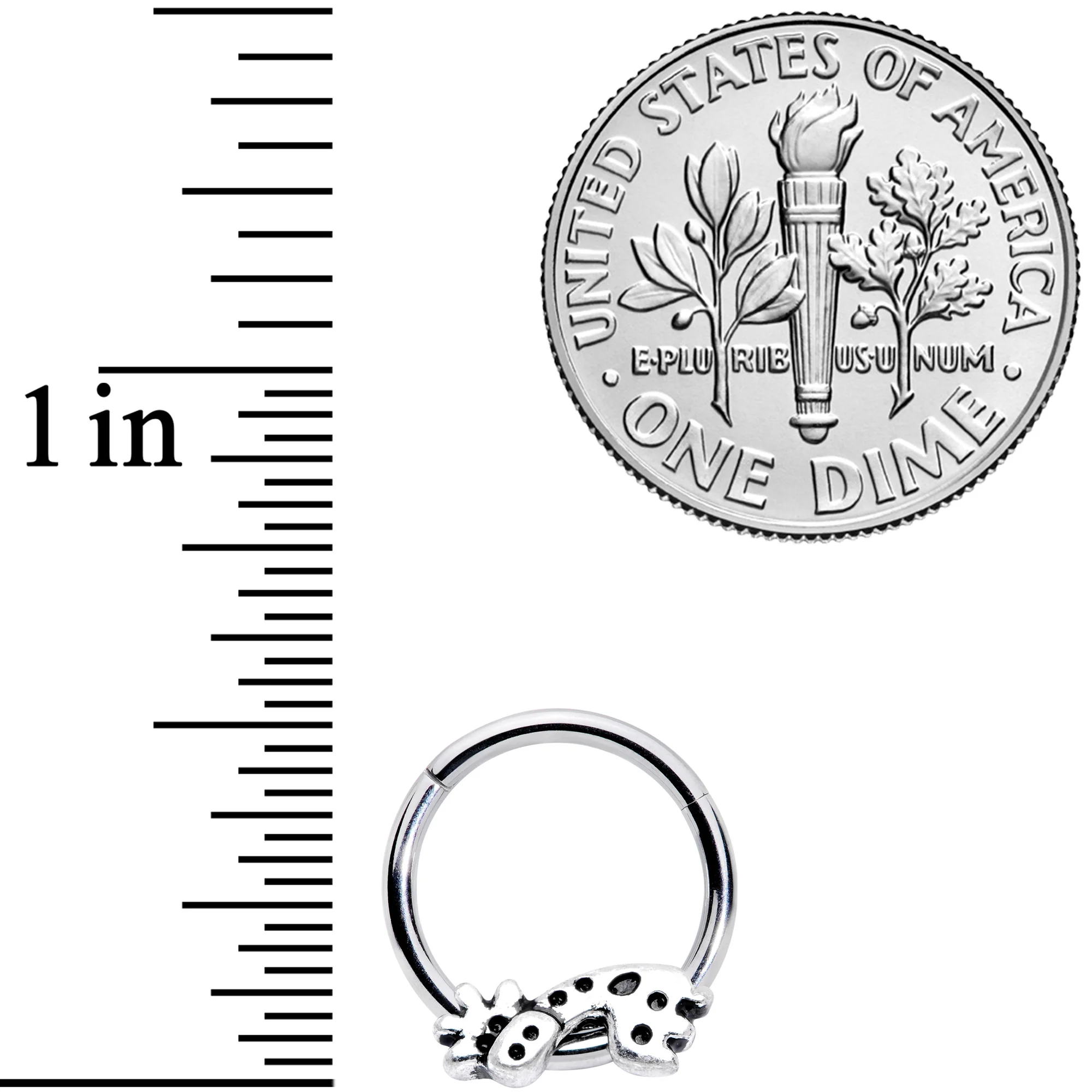 16G 3/8 Happy Giraffe Hinged Segment Ring - Image 3