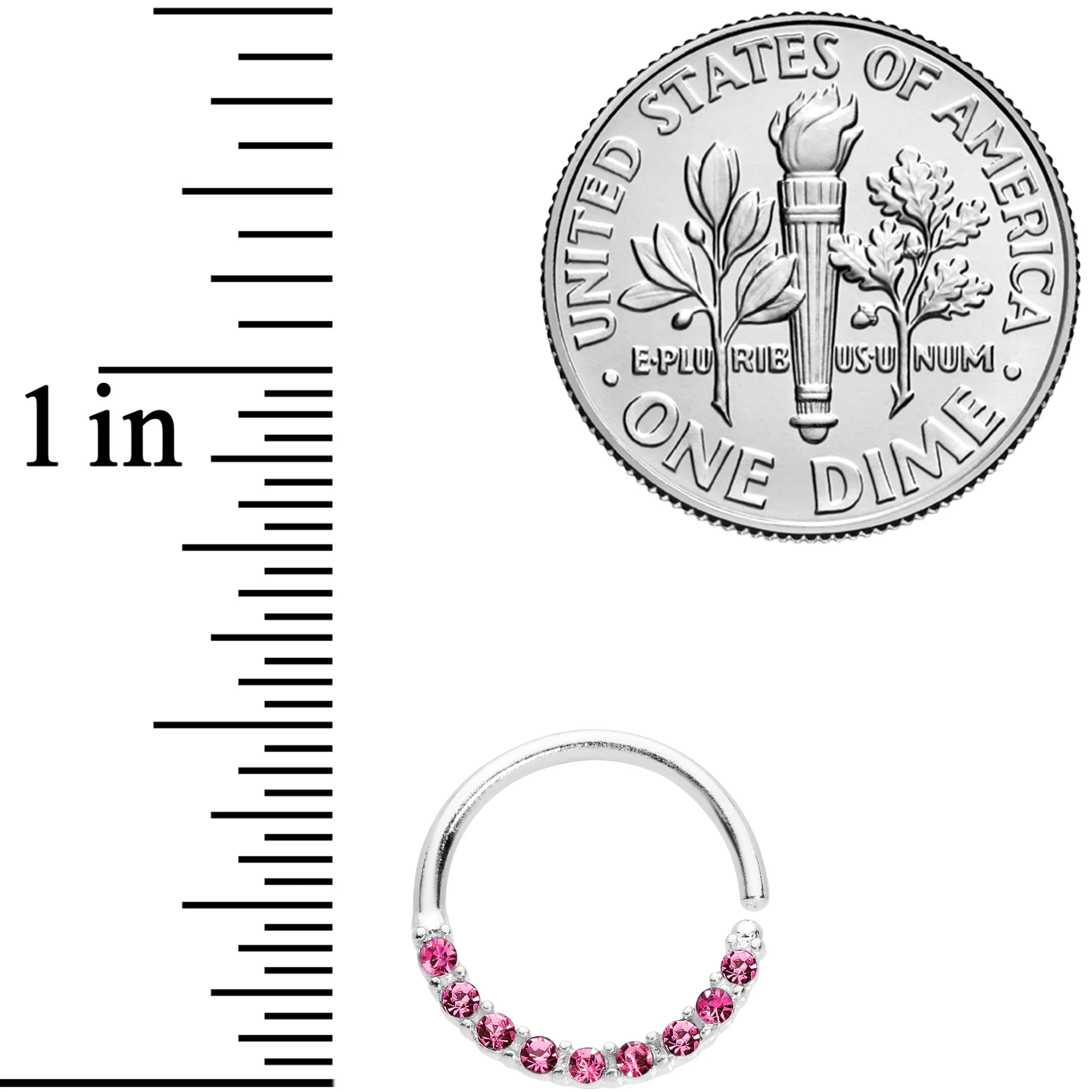 16G 3/8 Pink Gem Simple Elegance Seamless Circular Ring - Image 2