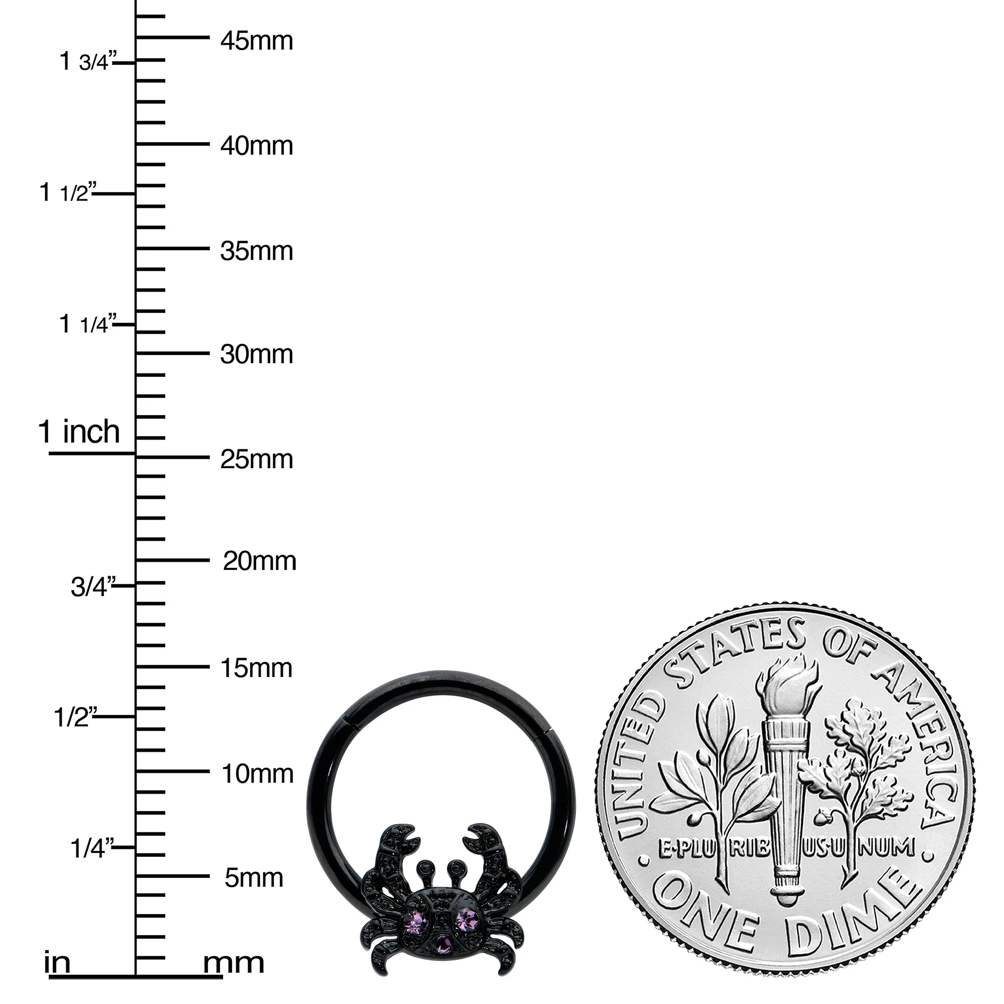 16G 3/8 Purple Gem Black Chic Crab Hinged Segment Ring - Image 3