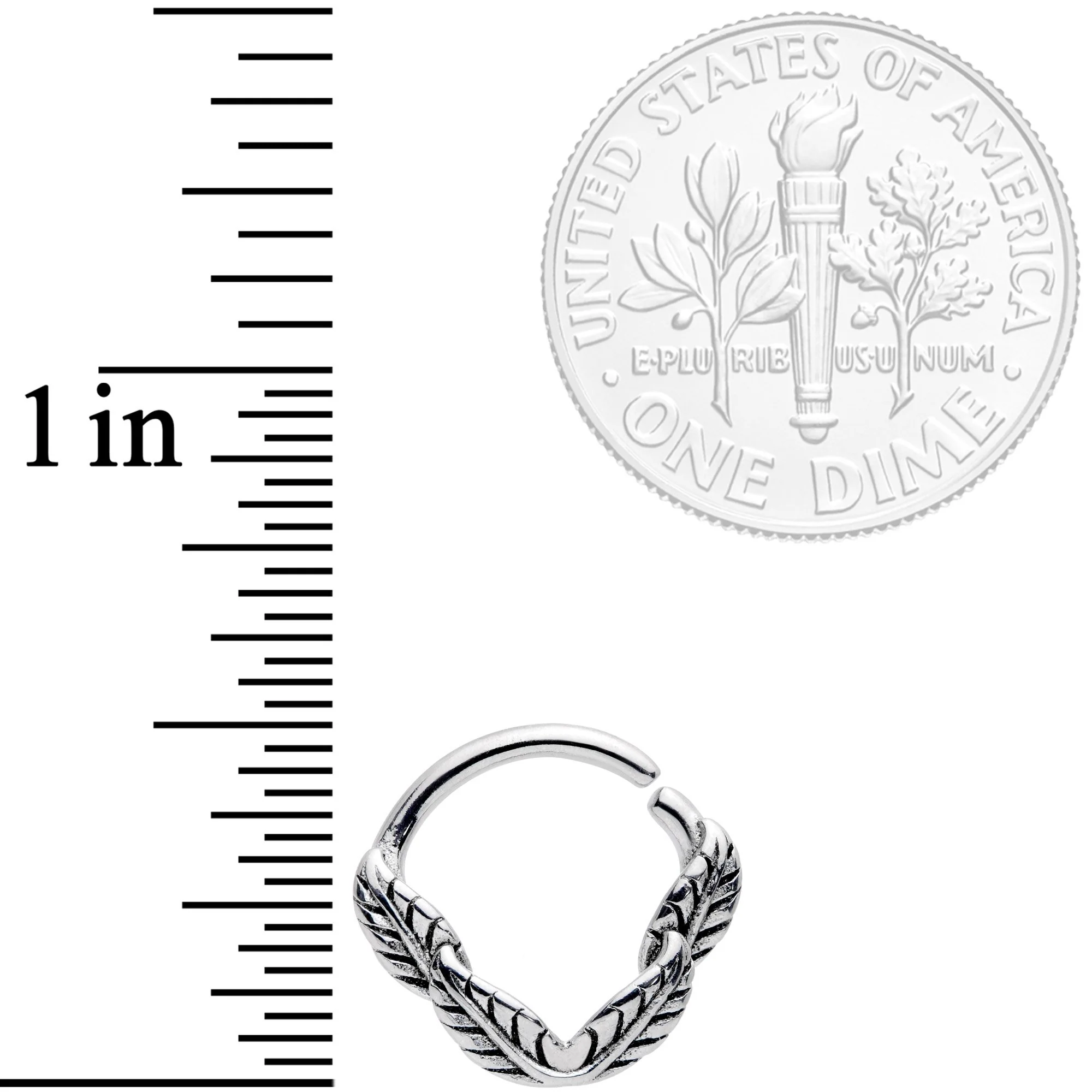 16G 3/8 Ring of Feathers Closure Ring - Image 2