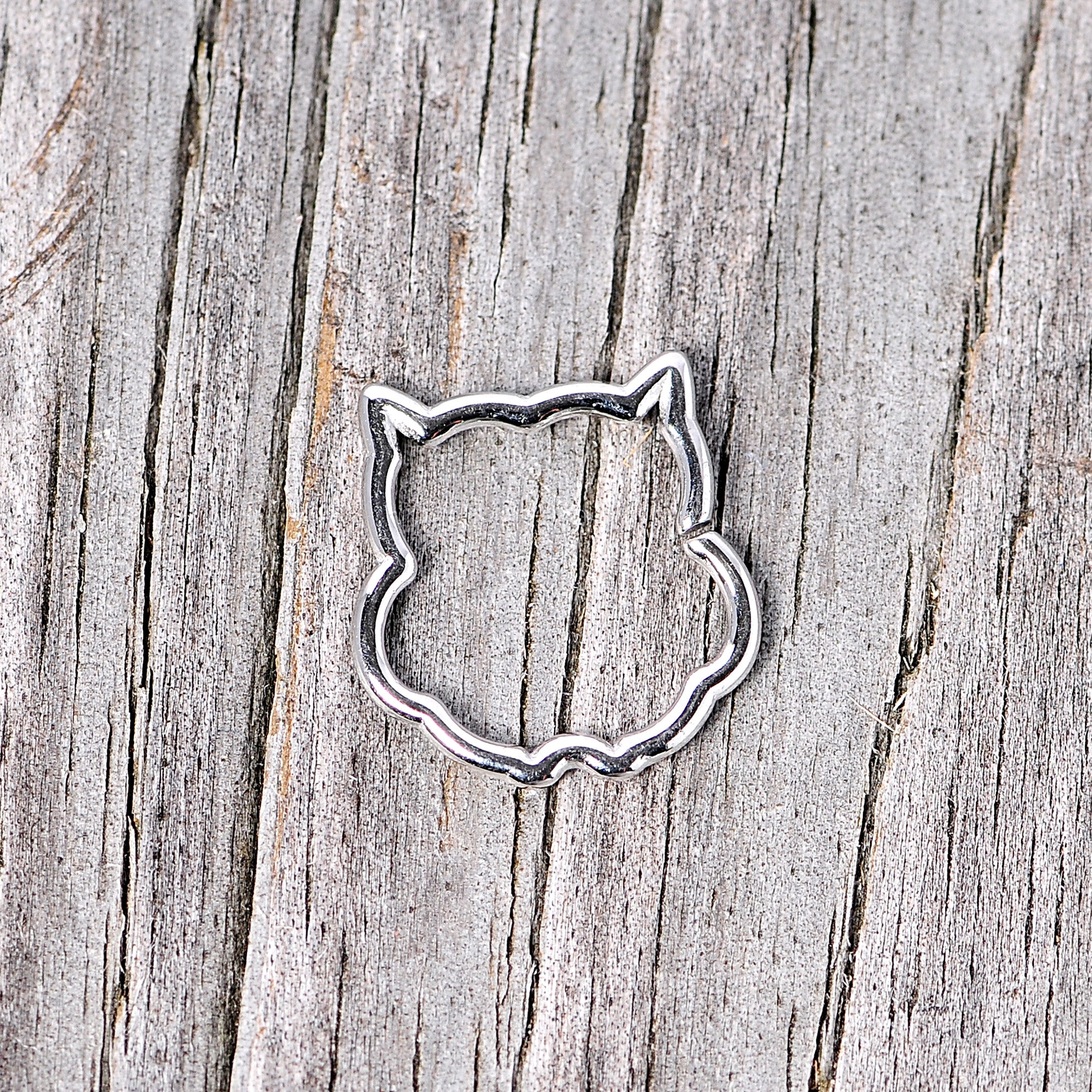 16G 3/8 Steel Barn Owl Halloween Cartilage Closure Ring - Image 3