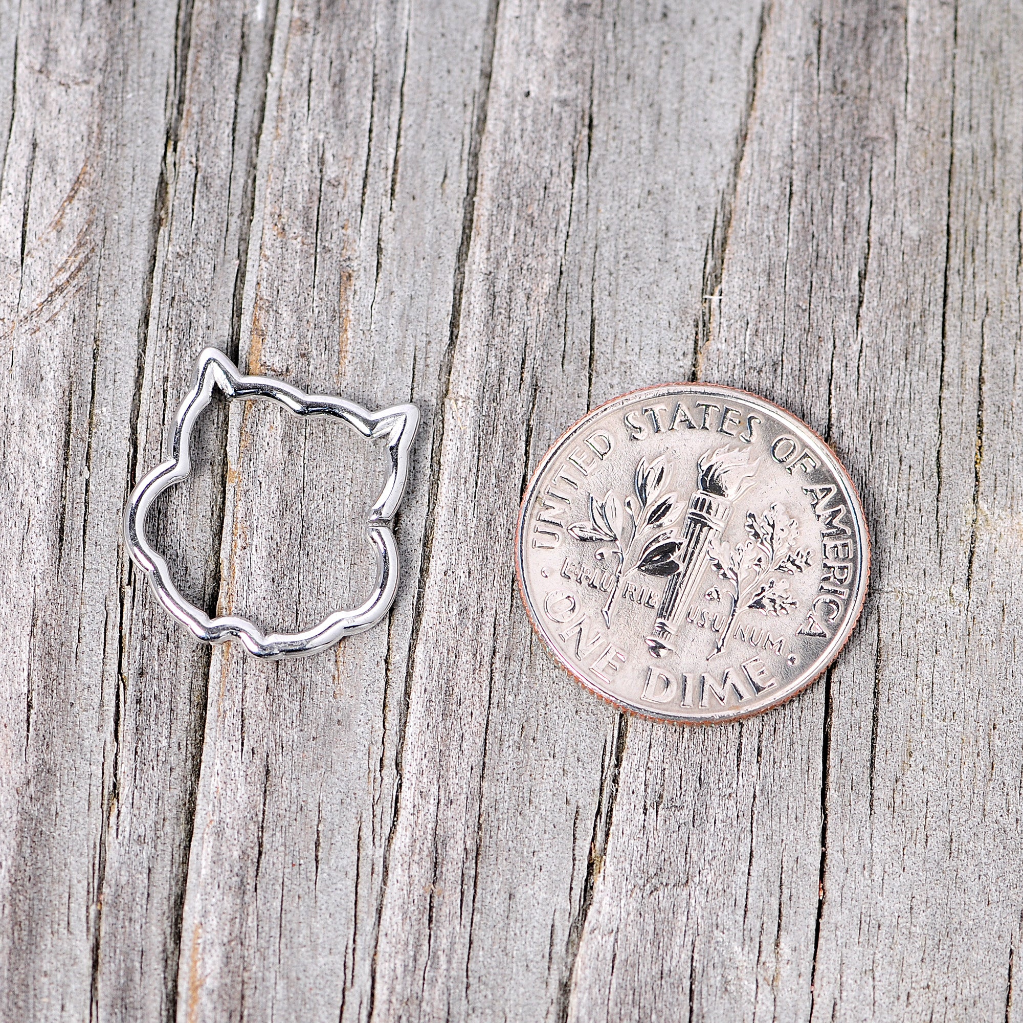 16G 3/8 Steel Barn Owl Halloween Cartilage Closure Ring - Image 4