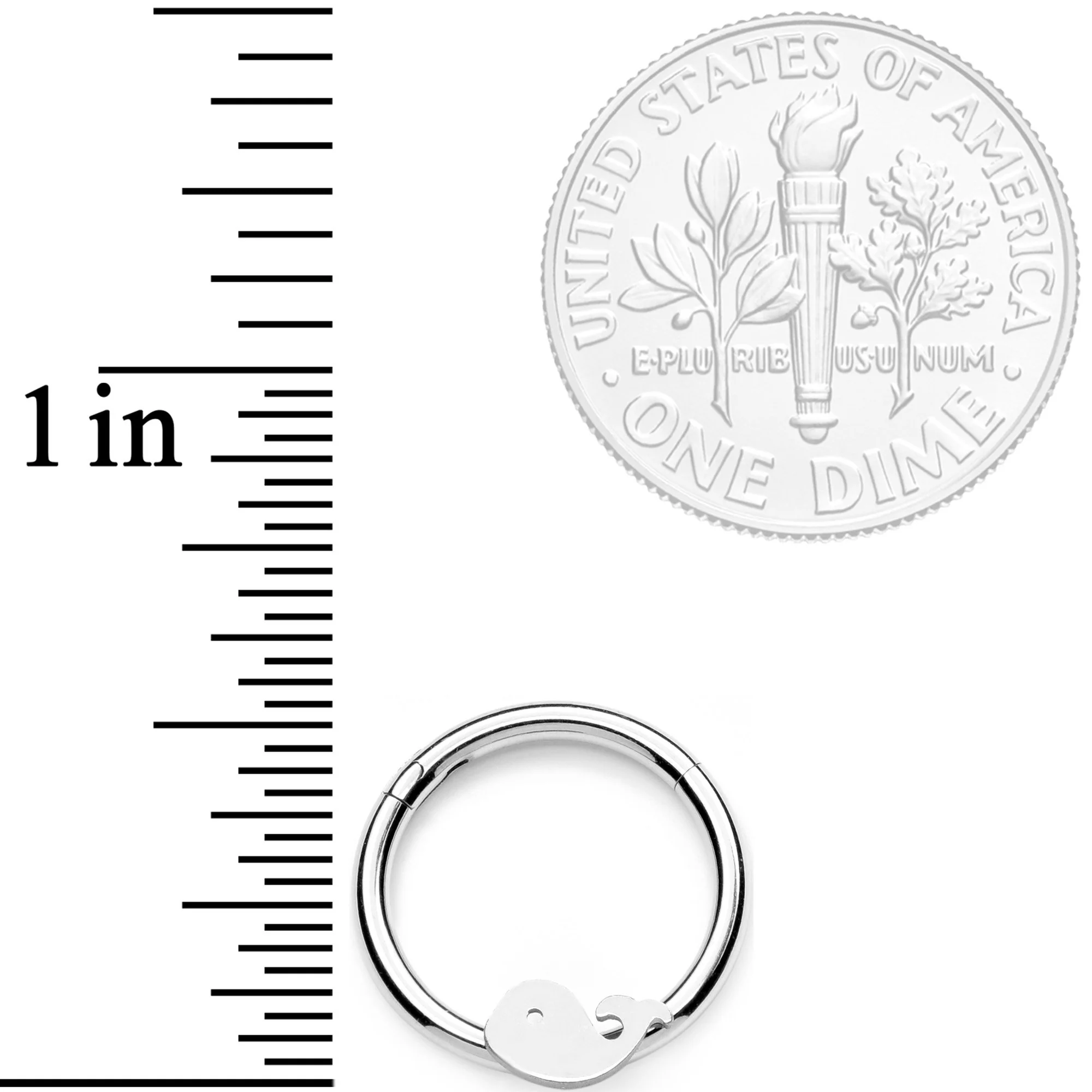 16G 3/8 Whale of a Hinged Segment Ring - Image 3