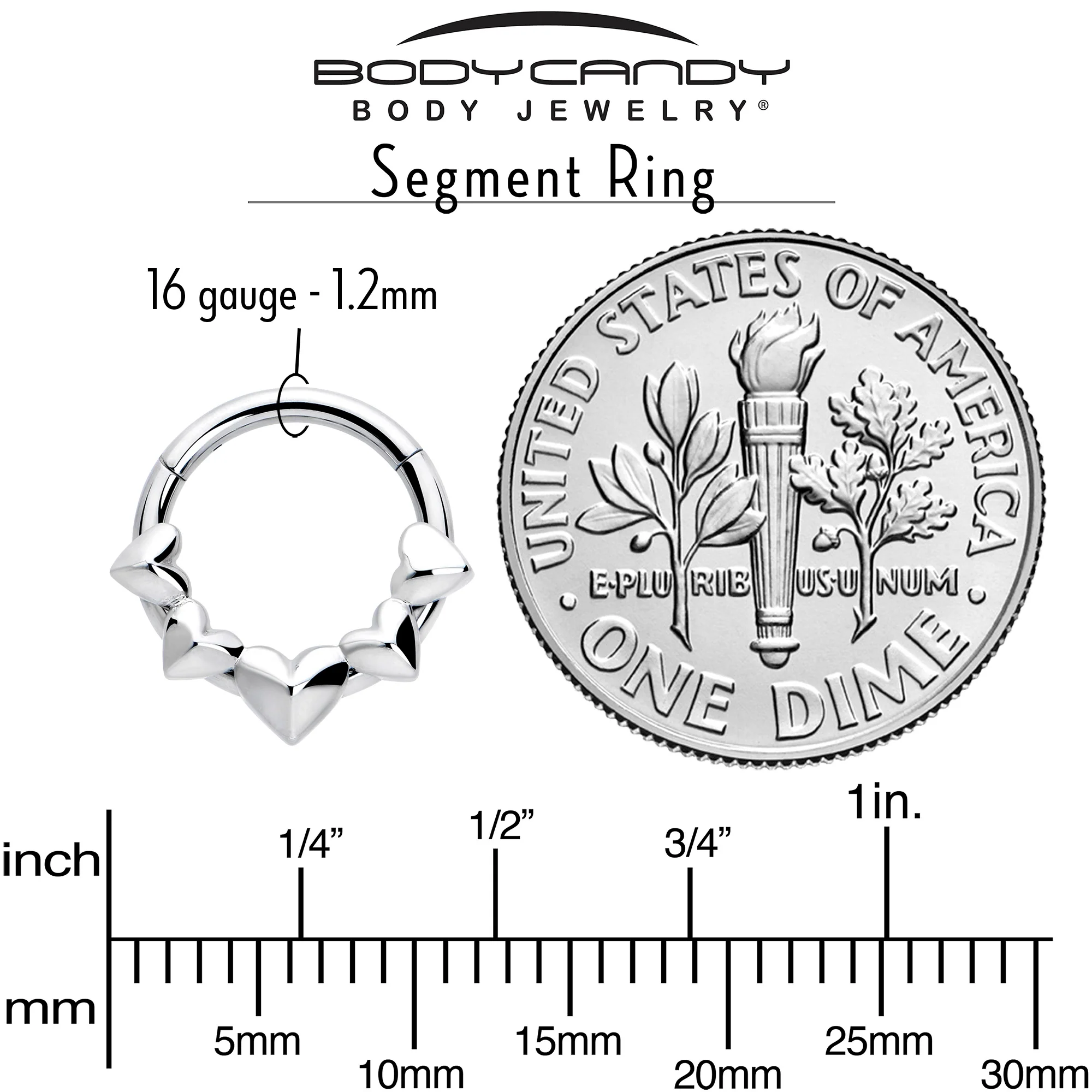 16G 5/16 3D Hearts Hinged Segment Ring - Image 4