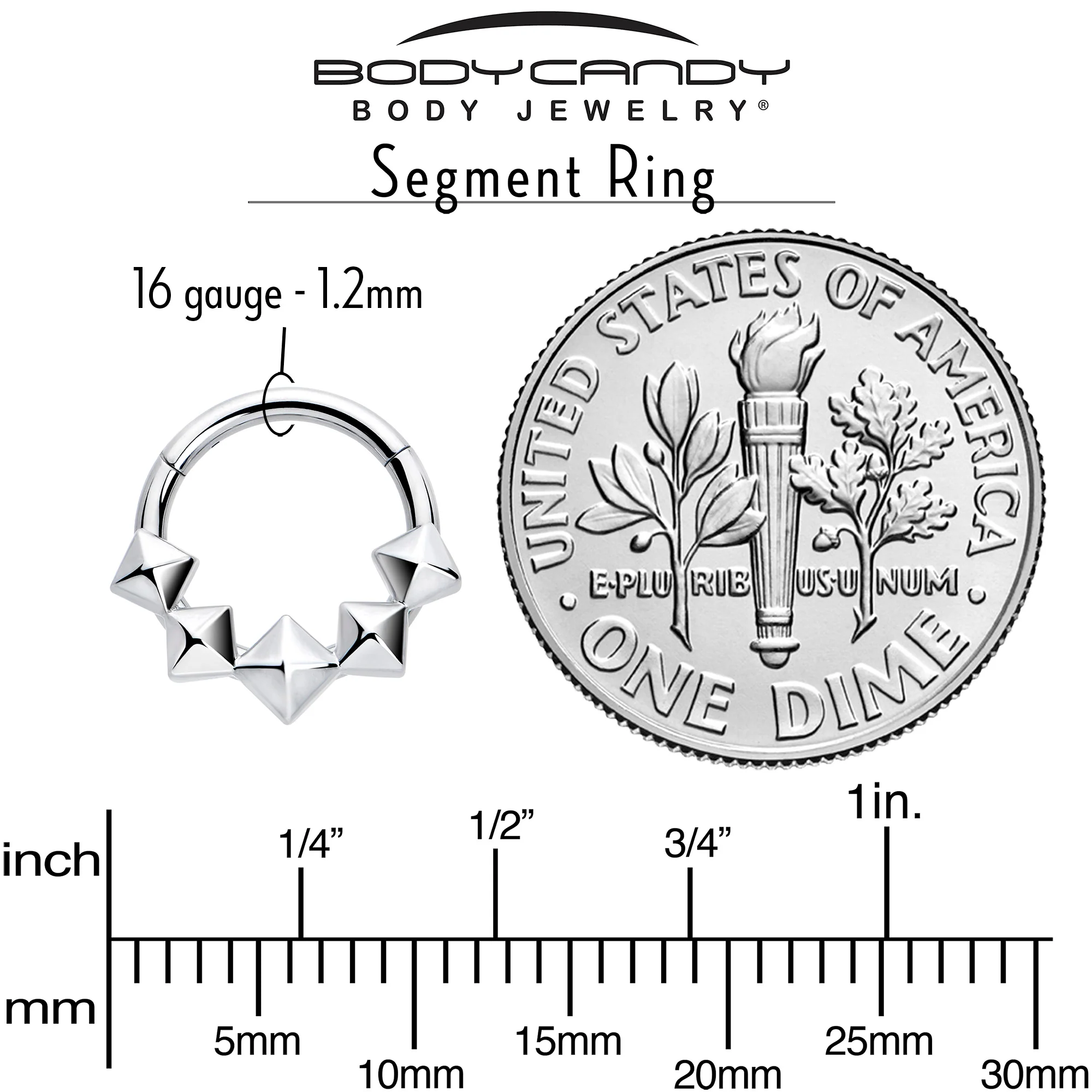 16G 5/16 3D Punk Style Hinged Segment Ring - Image 4